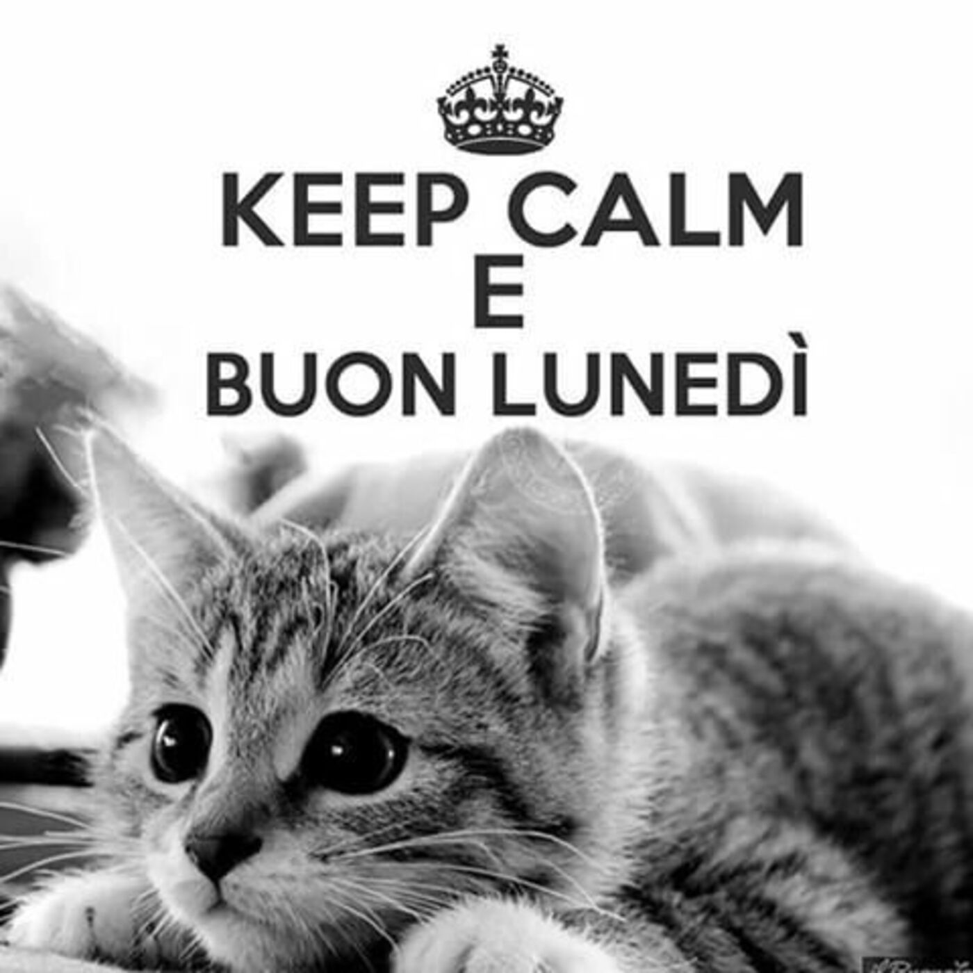Keep Calm e Buon Lunedì