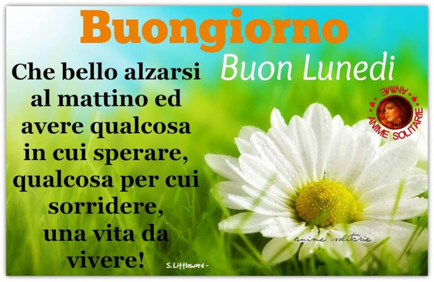 Buongiorno Buon Lunedì frasi belle