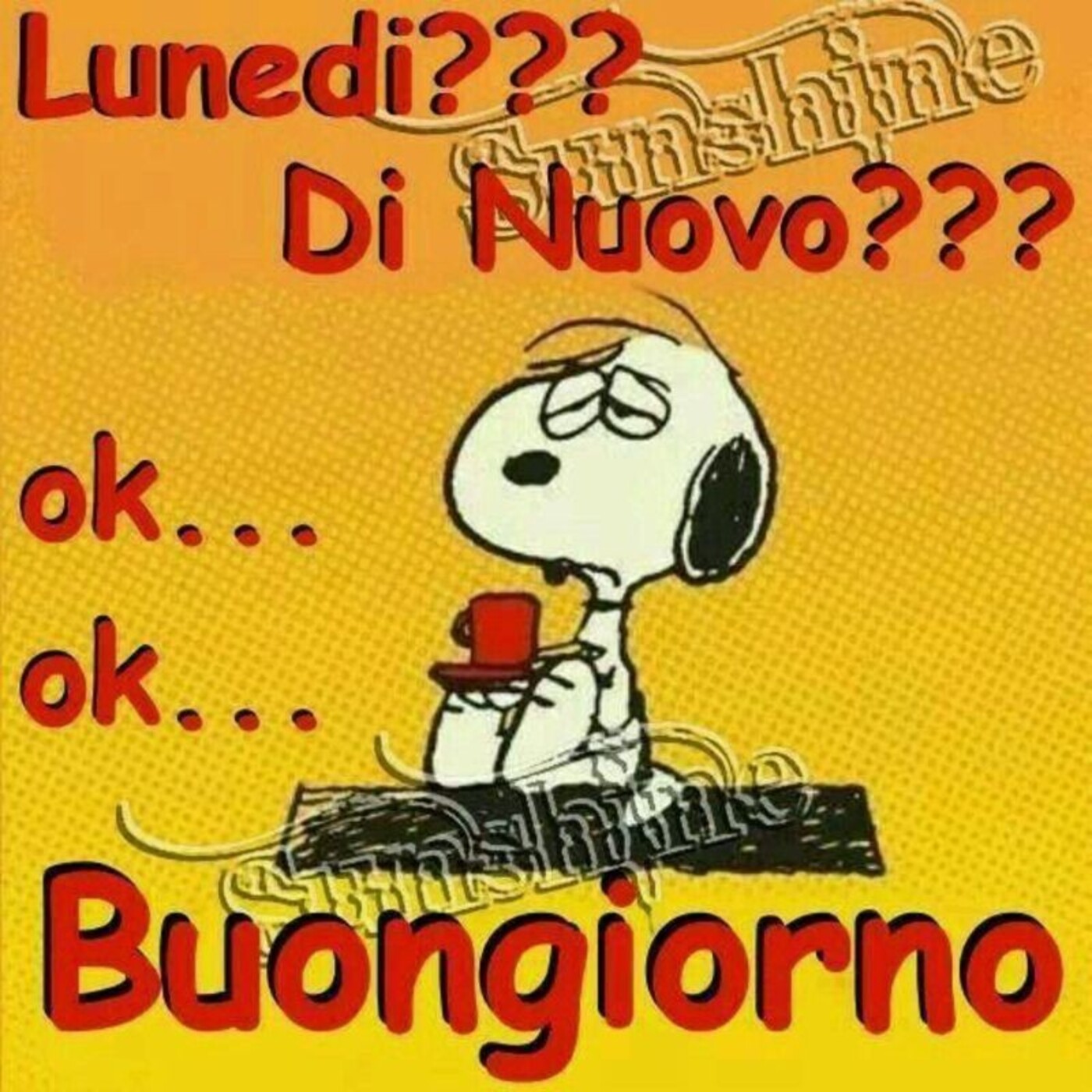 Lunedì? Di nuovo? ok... ok... Buongiorno