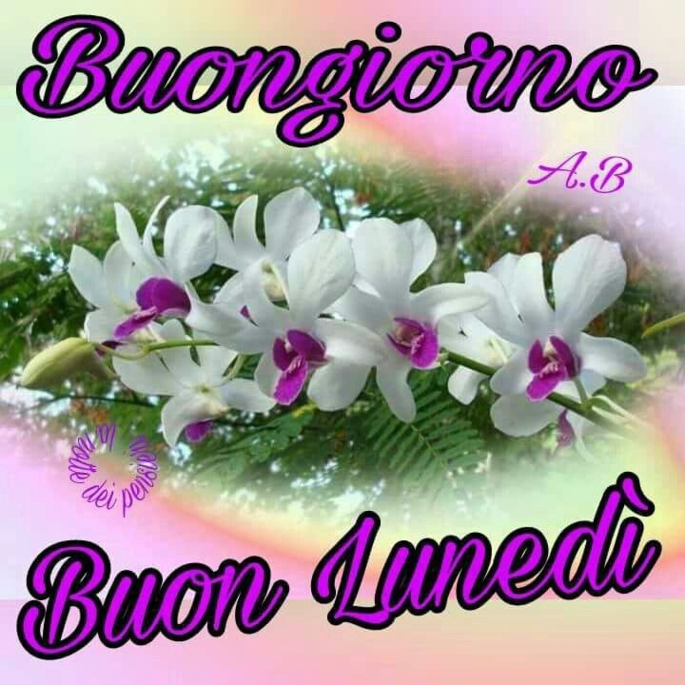 Buon Lunedì coi fiori