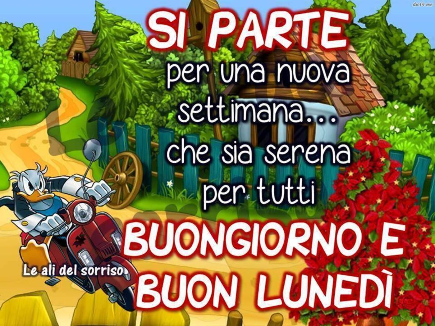 Si parte per una nuova settimana... che sia serena per tutti. Buongiorno e Buon Lunedì