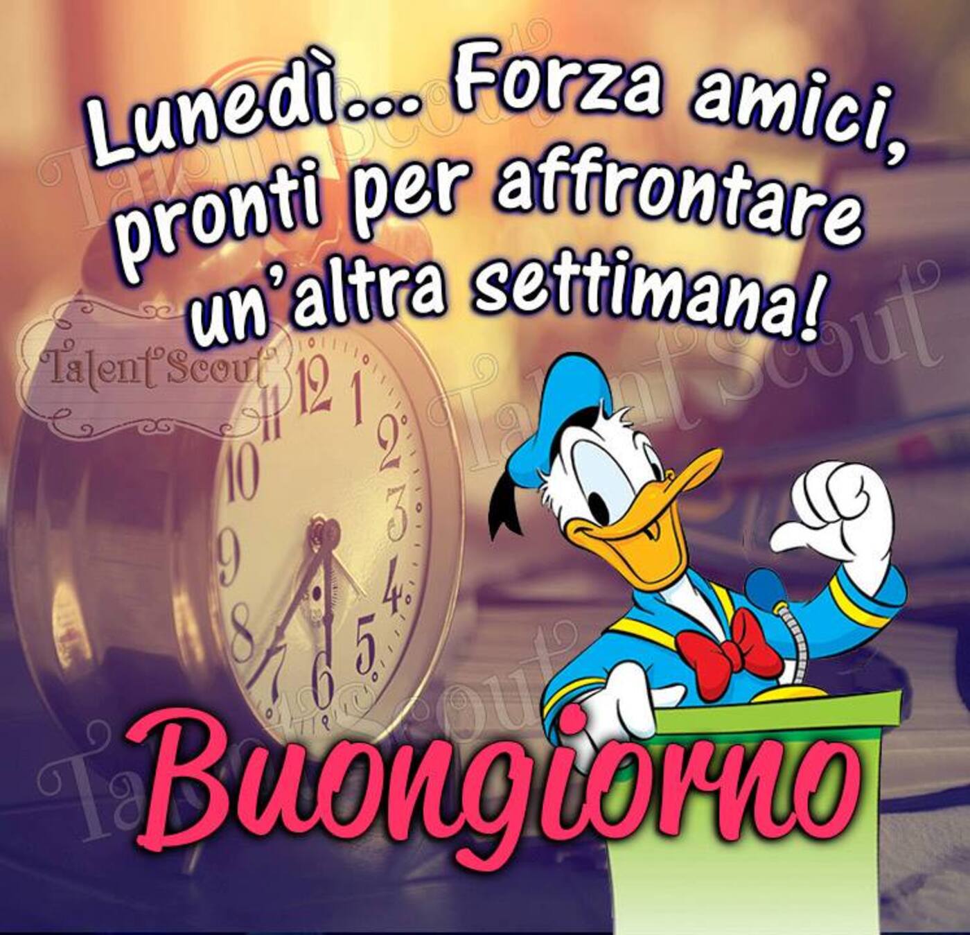 Lunedì... forza amici, pronti per affrontare un'altra settimana! Buongiorno Paperino