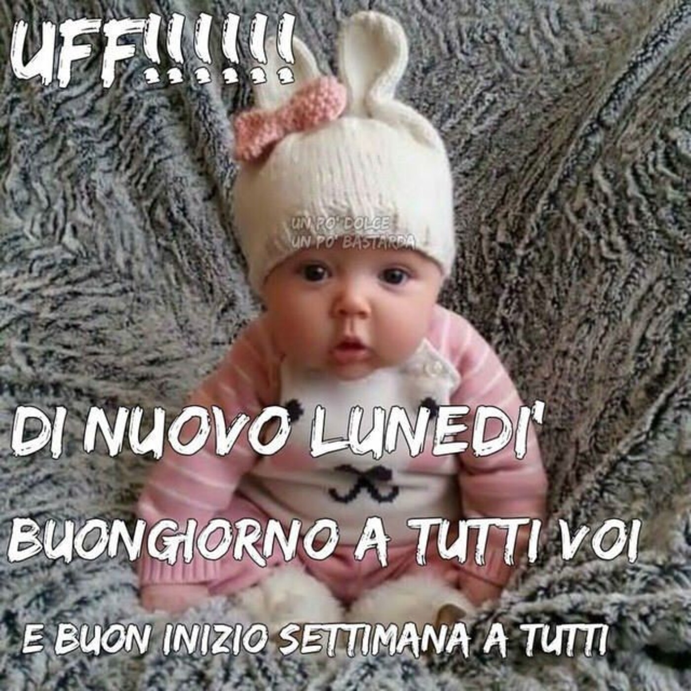 "UFF!!!!!! DI NUOVO LUNEDI' Buongiorno a tutti voi....."
