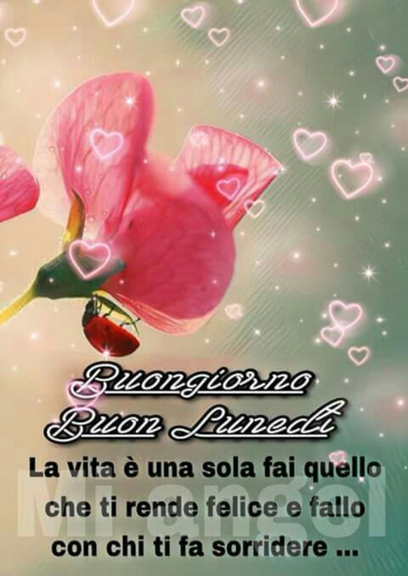 Buongiorno Buon Lunedì La vita è una sola... fai quello che ti rende felice e fallo con chi ti fa sorridere...