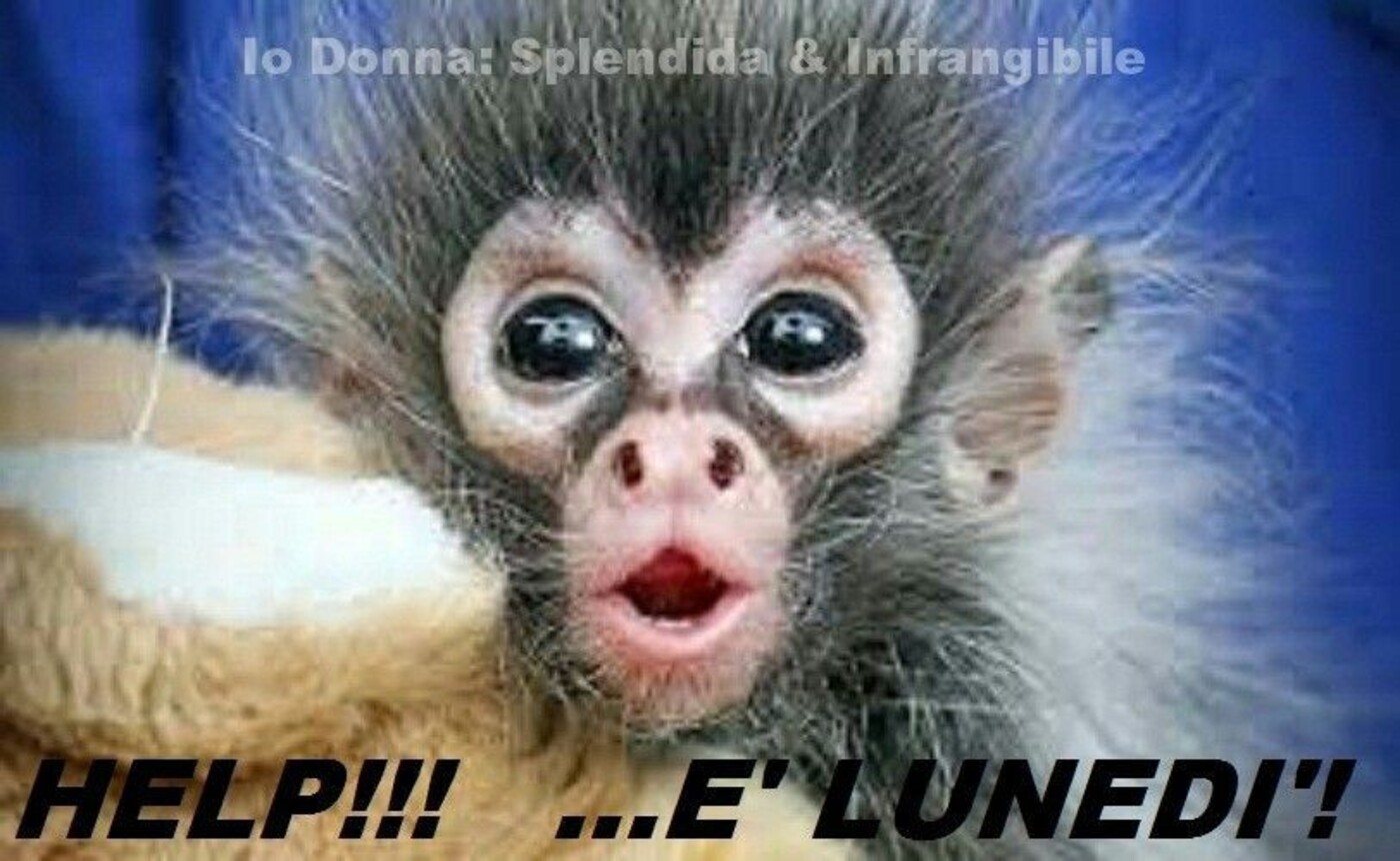 HELP! E' Lunedì !