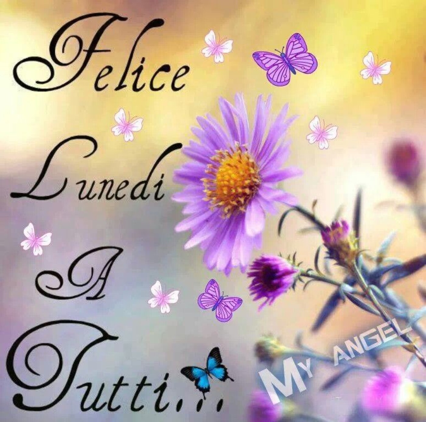 Felice Lunedì a tutti