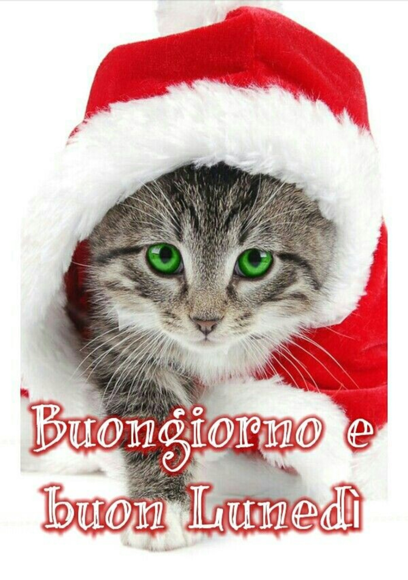 Buongiorno e Buon Lunedì immagini natalizie