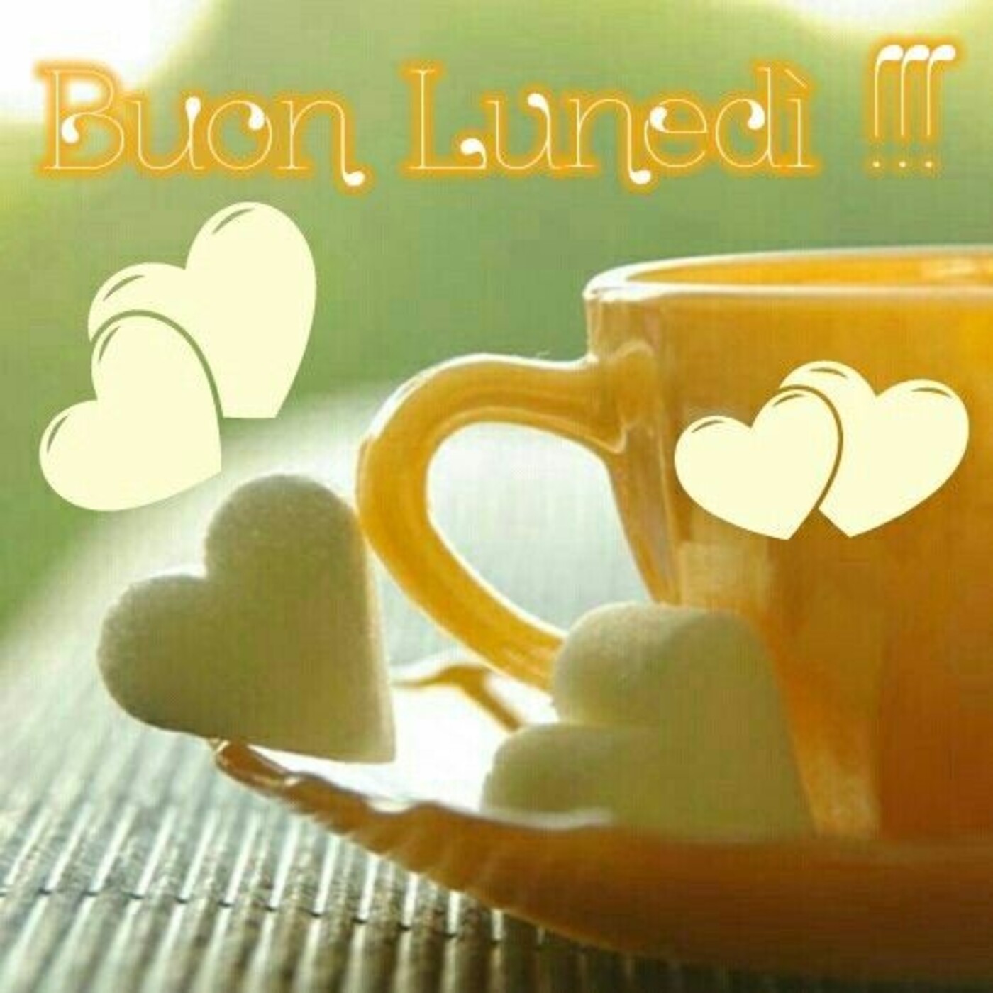 Buon Lunedì !!!