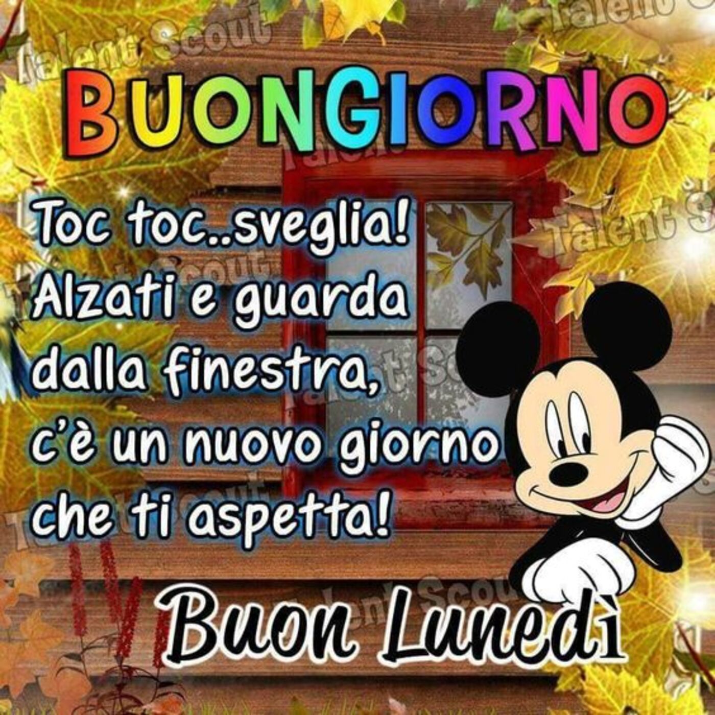 Buongiorno toc... toc... sveglia! Alzati e guarda dalla finestra. C'è un nuovo giorno che ti aspetta! Buon Lunedì