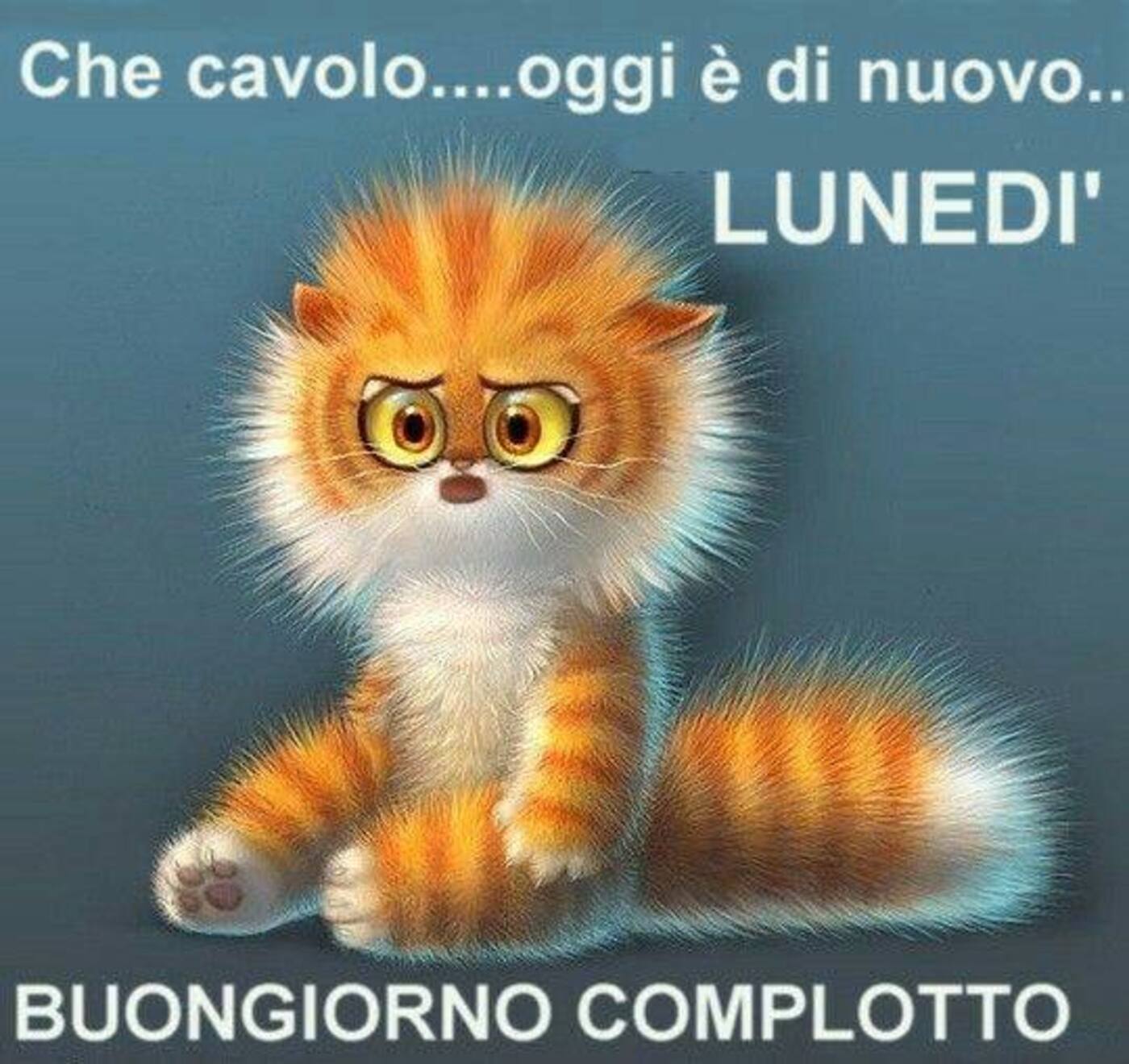 Che cavolo... oggi è di nuovo Lunedì! BUONGIORNO COMPLOTTO