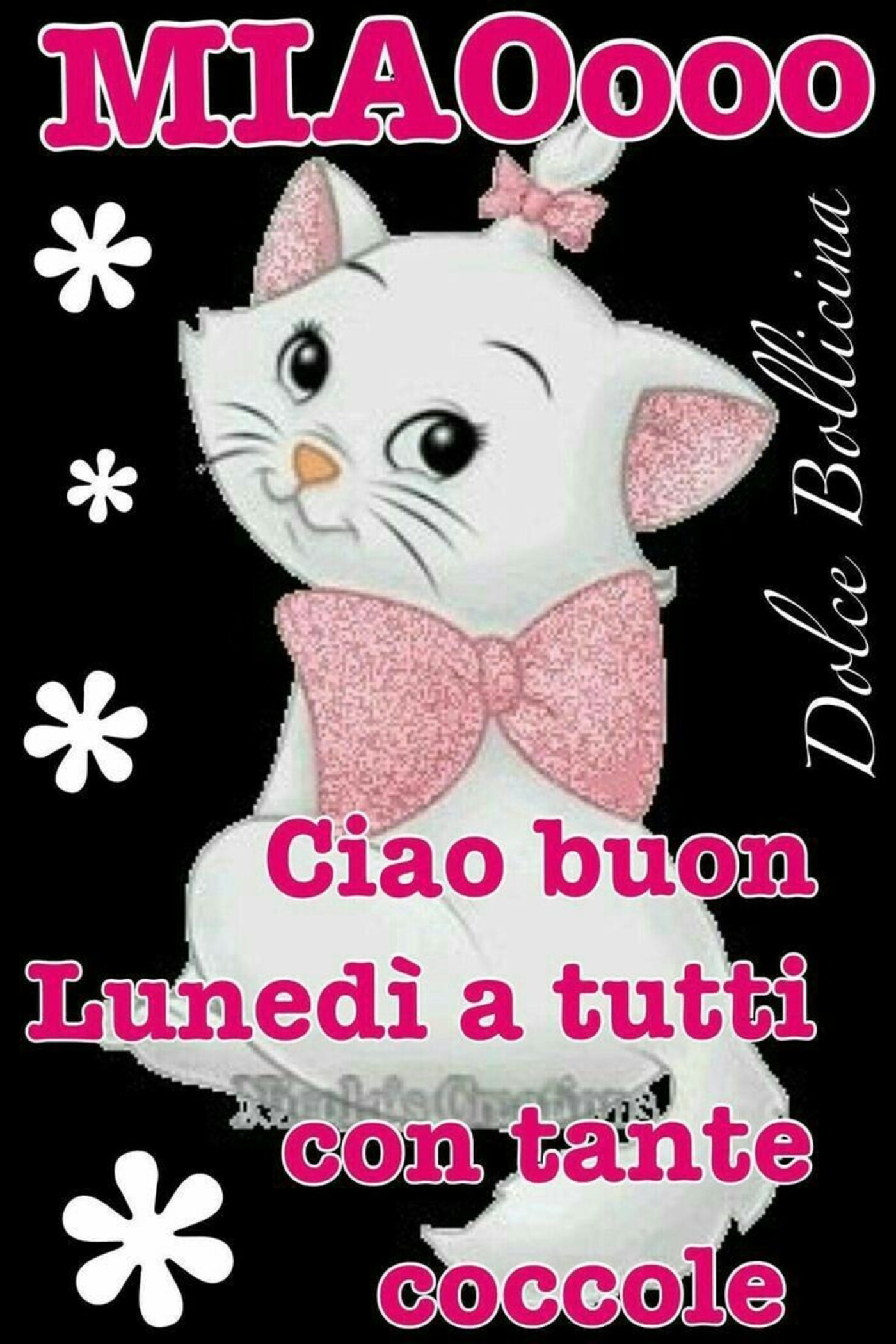 MIAOooo Ciao Buon Lunedì a tutti con tante coccole