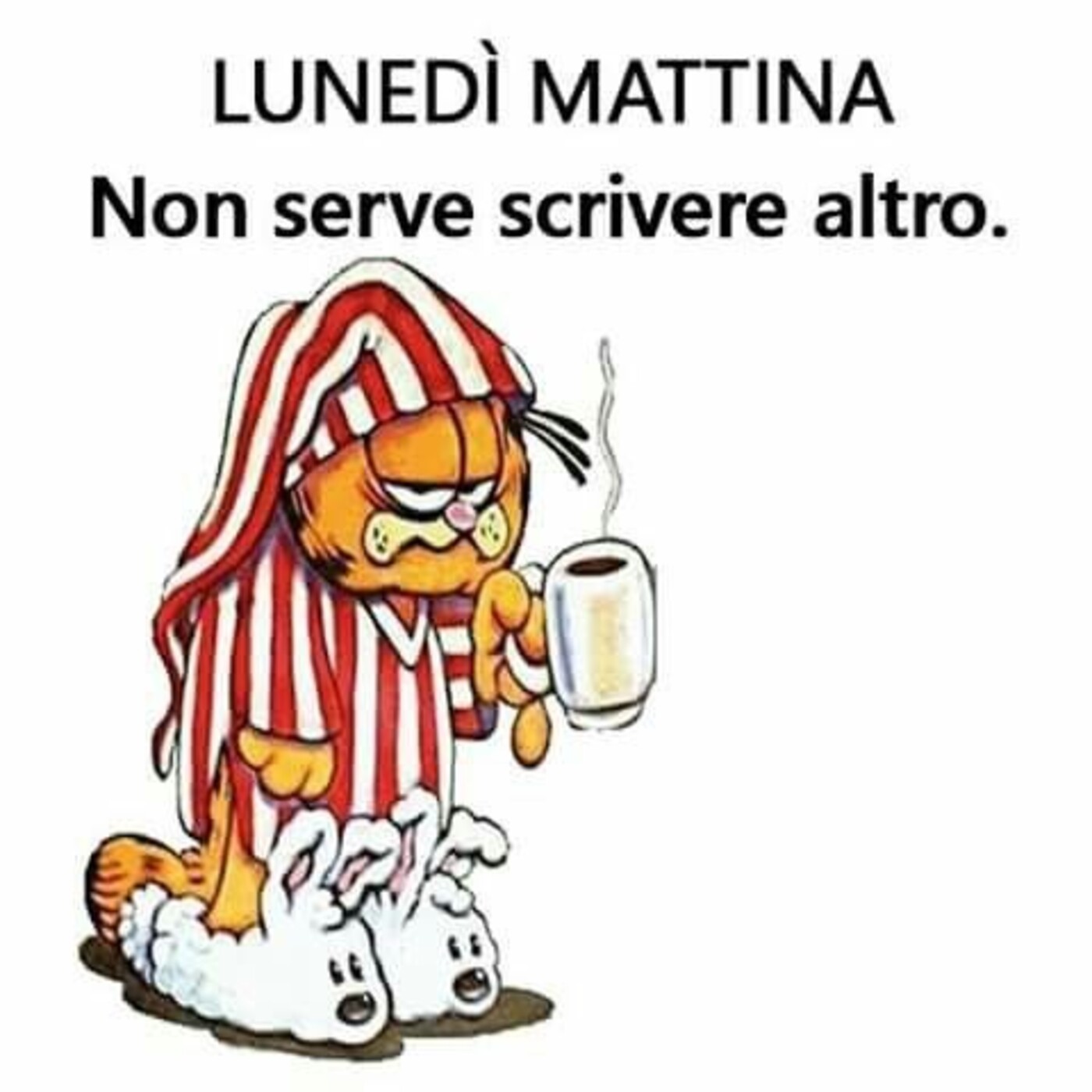 LUNEDI' MATTINA Non serve scrivere altro. Garfield