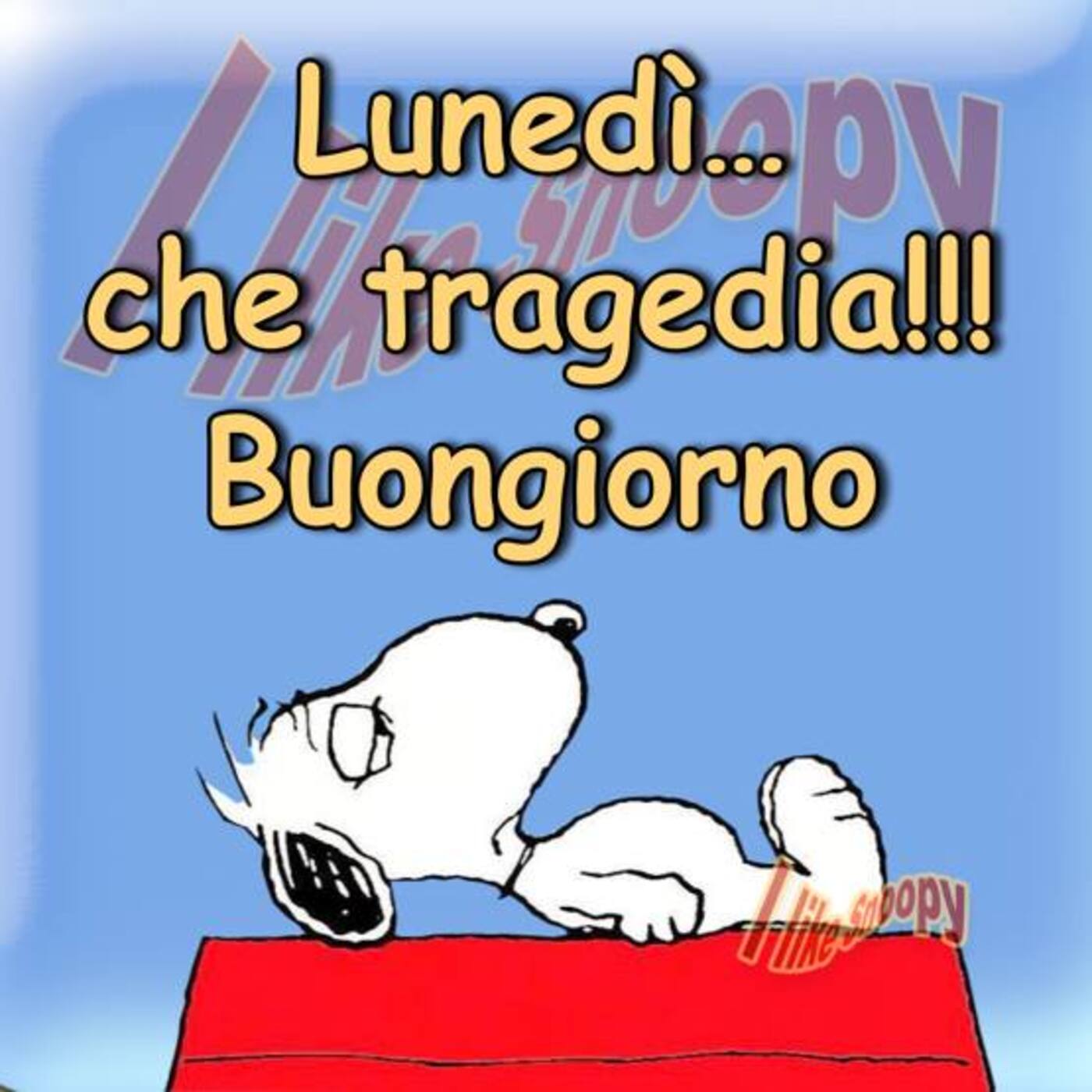 Lunedì... che tragedia!!! Buongiorno (Snoopy)