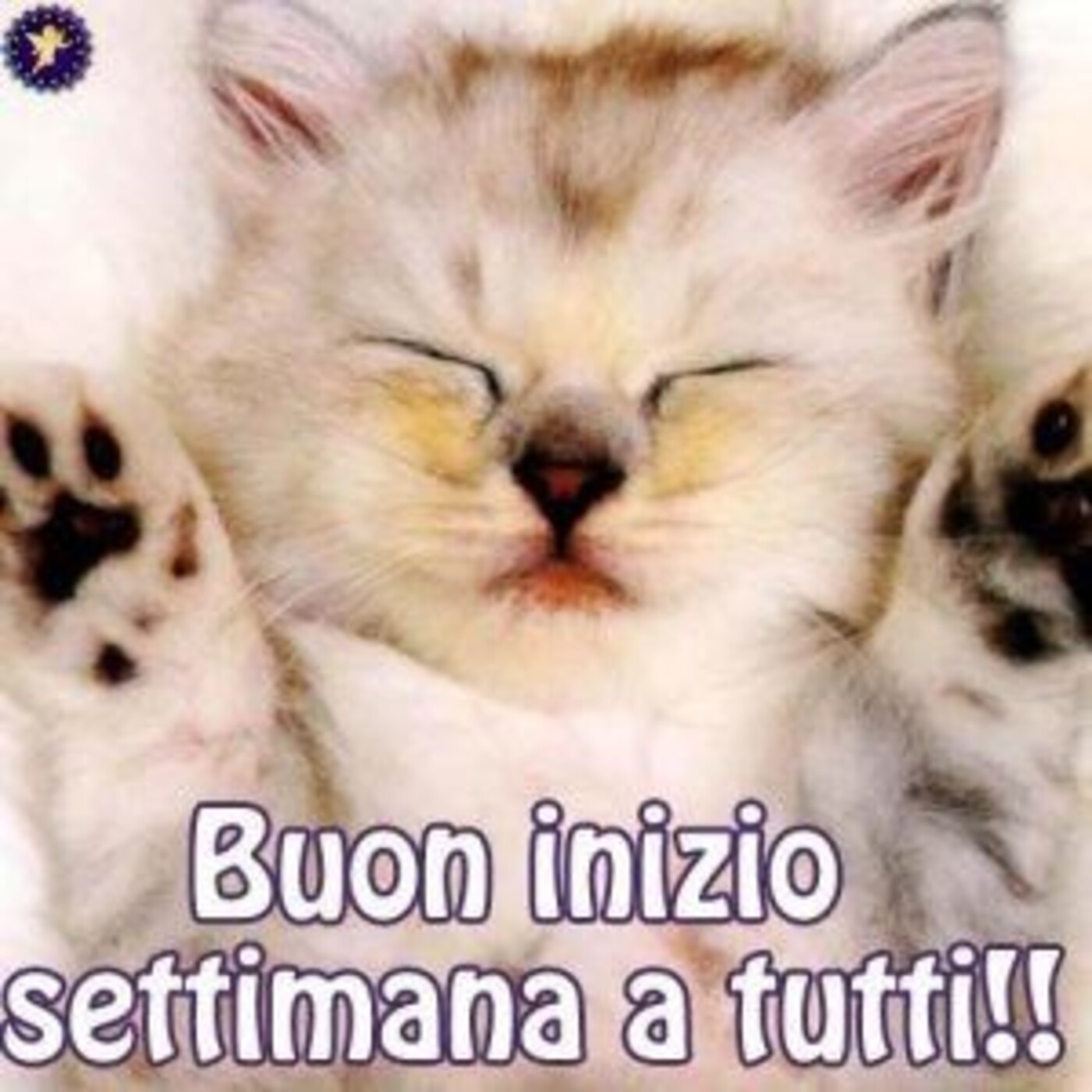 Buon Inizio Settimana a tutti!!