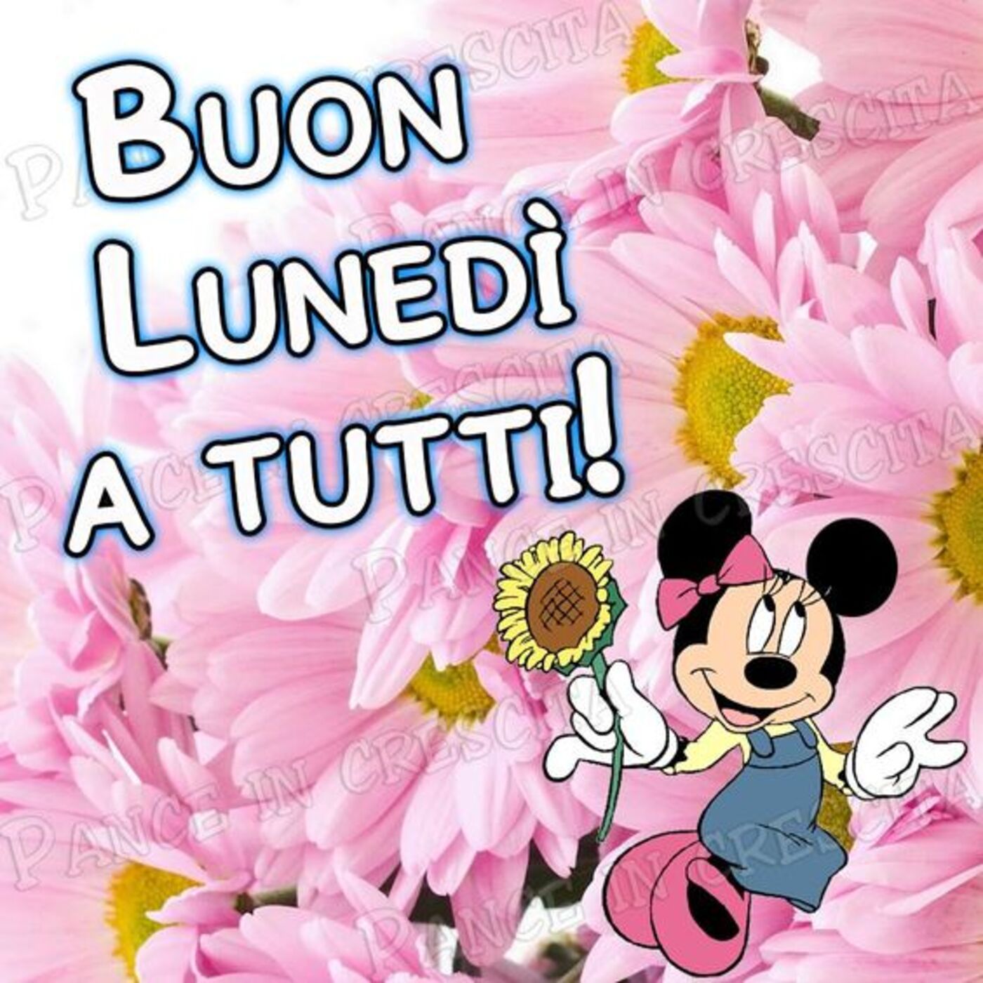 Buon Lunedì a tutti primavera