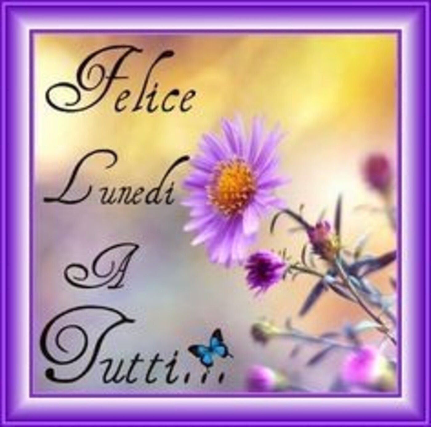 Felice Lunedì A Tutti...