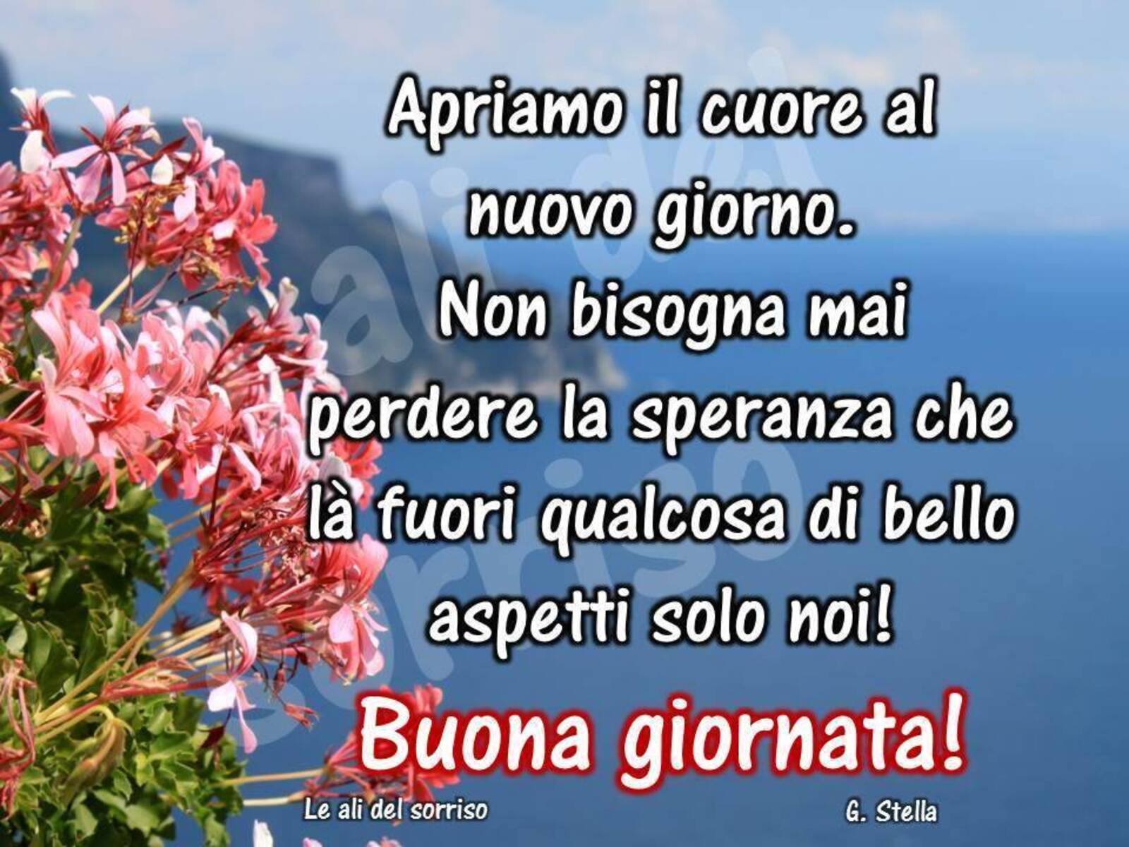 Apriamo il cuore al nuovo giorno. Non bisogna mai perdere la speranza che là fuori qualcosa di bello aspetti solo noi! Buona Giornata!