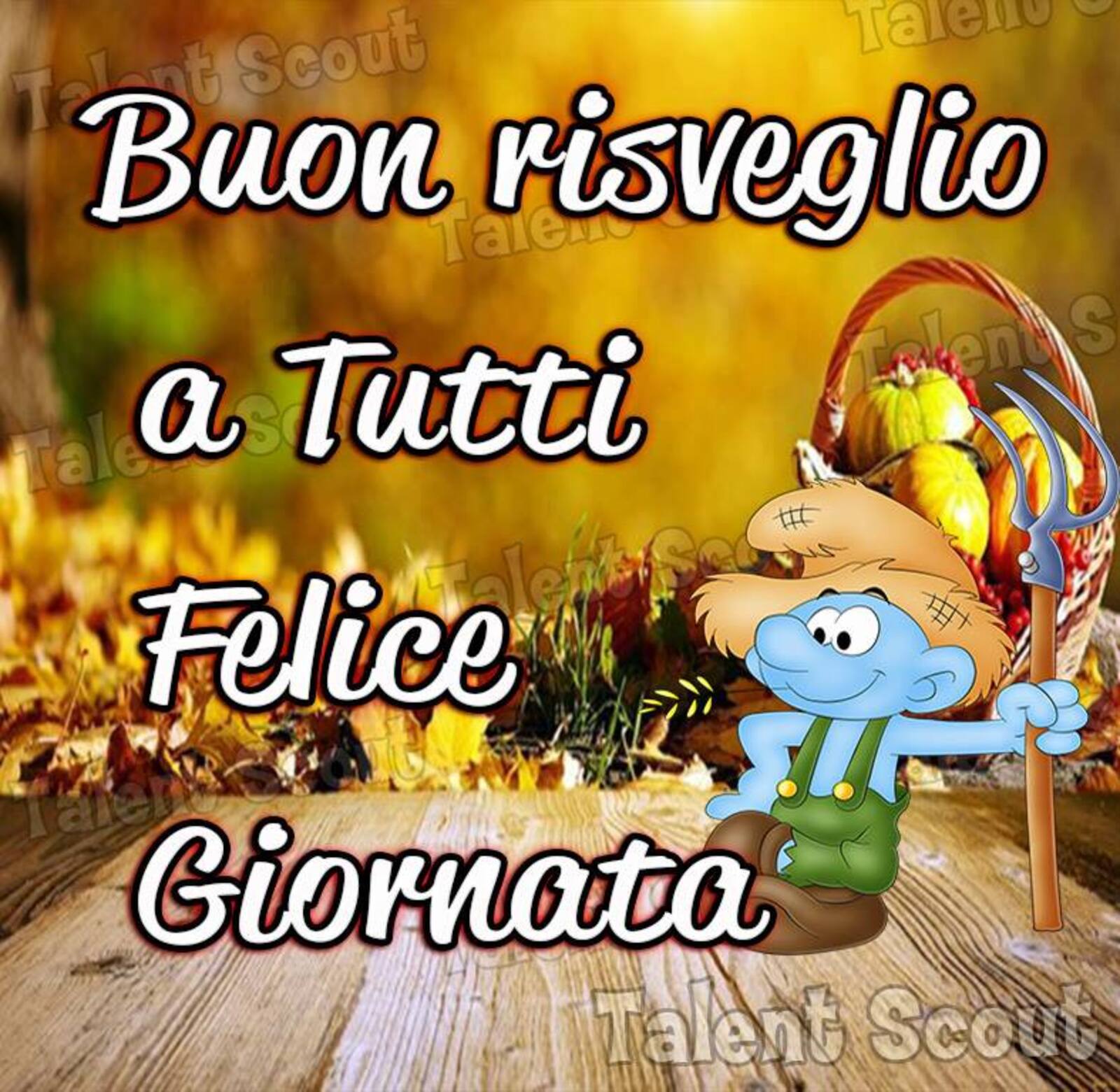 Buon risveglio a tutti Felice Giornata