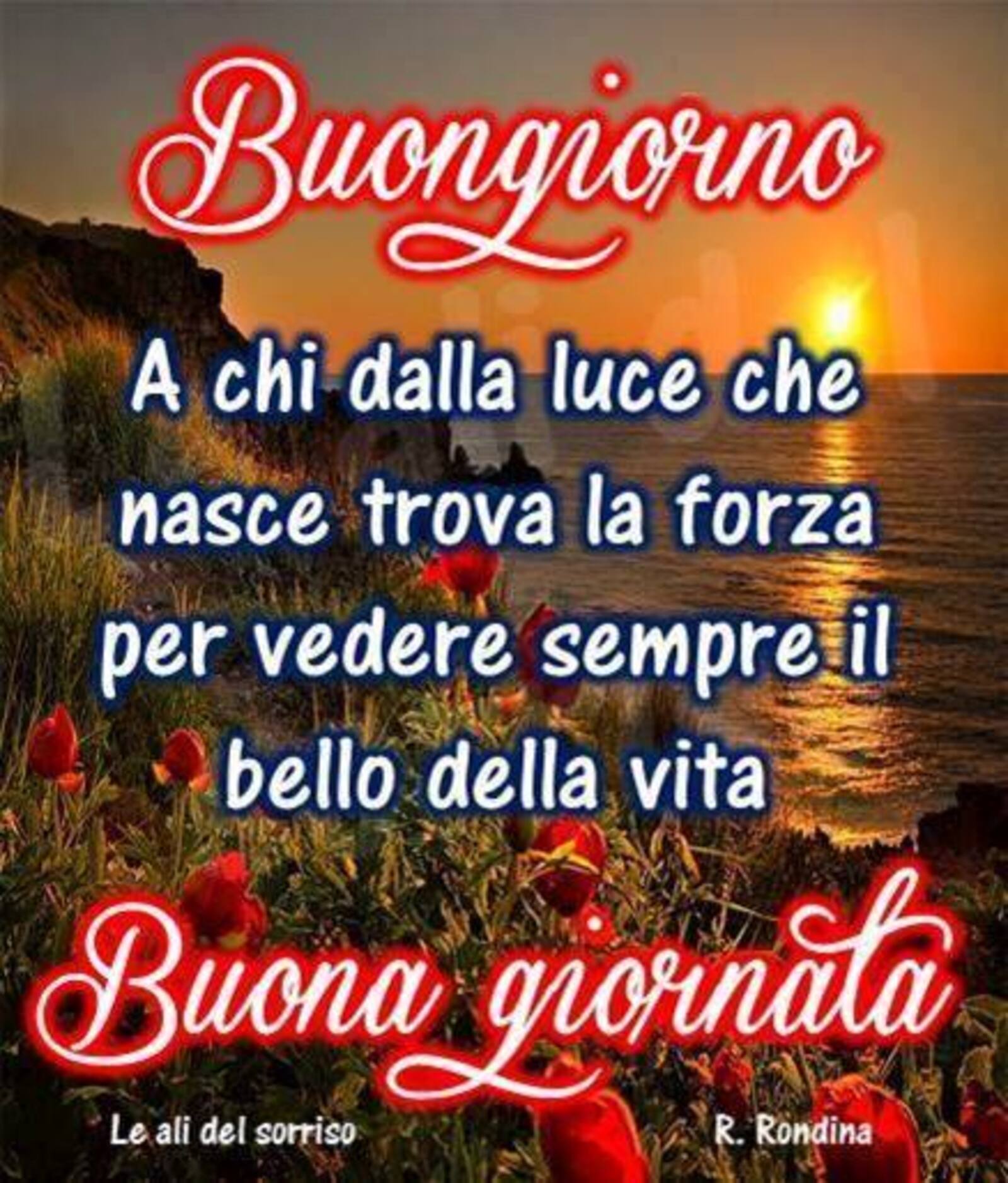 "Buongiorno A chi dalla luce che nasce trova la forza..... Buona Giornata"