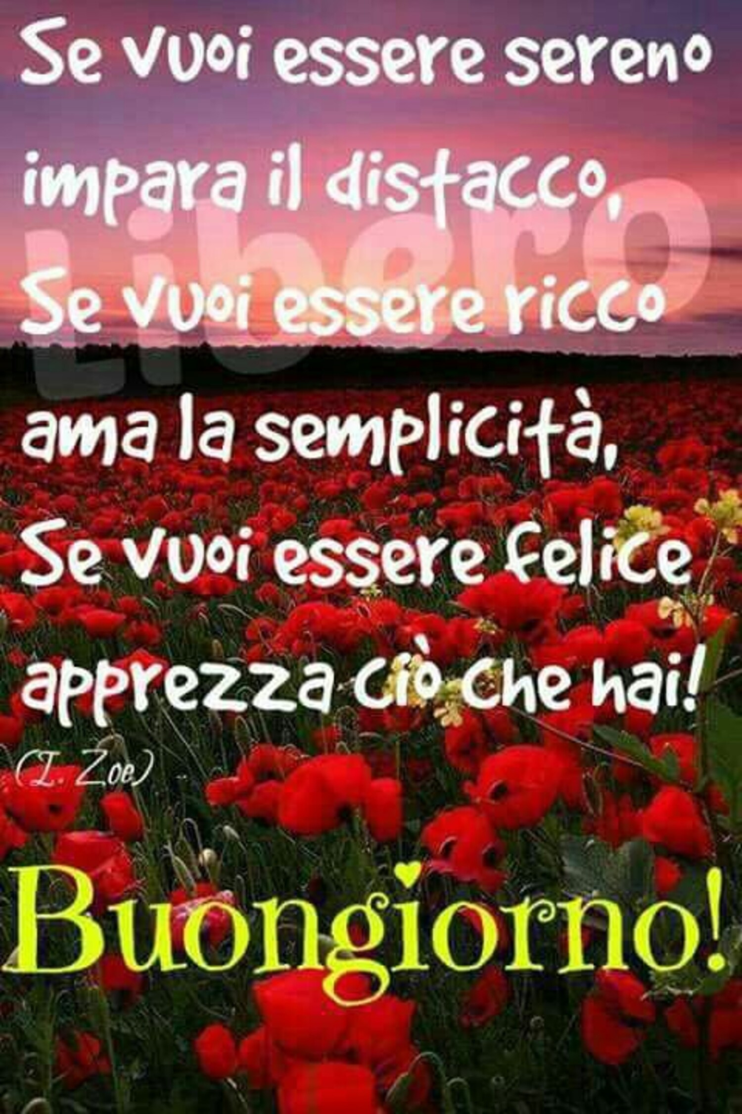 "Se vuoi essere sereno impara il distacco... Buongiorno"