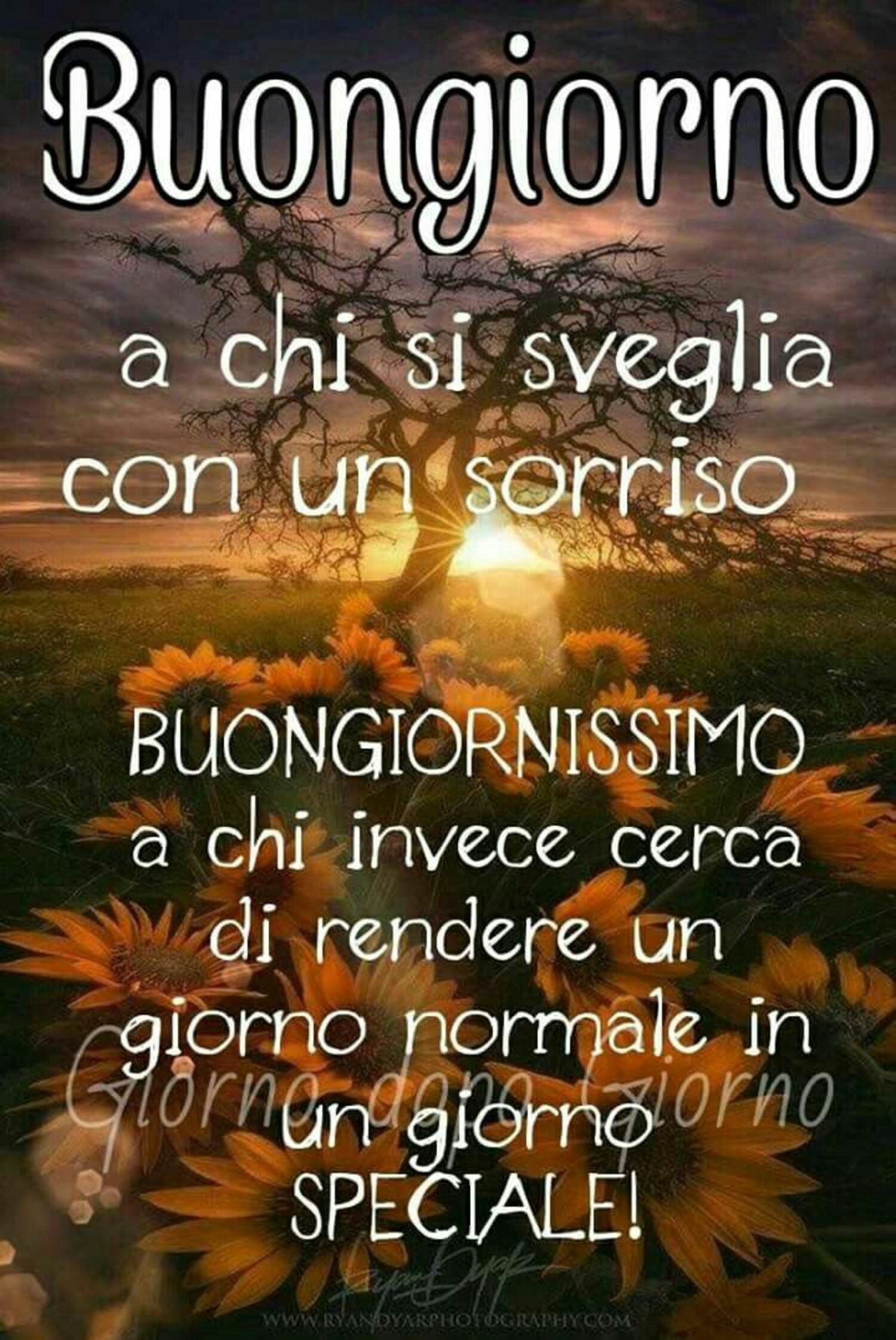 "Buongiorno a chi si sveglia con un sorriso..."