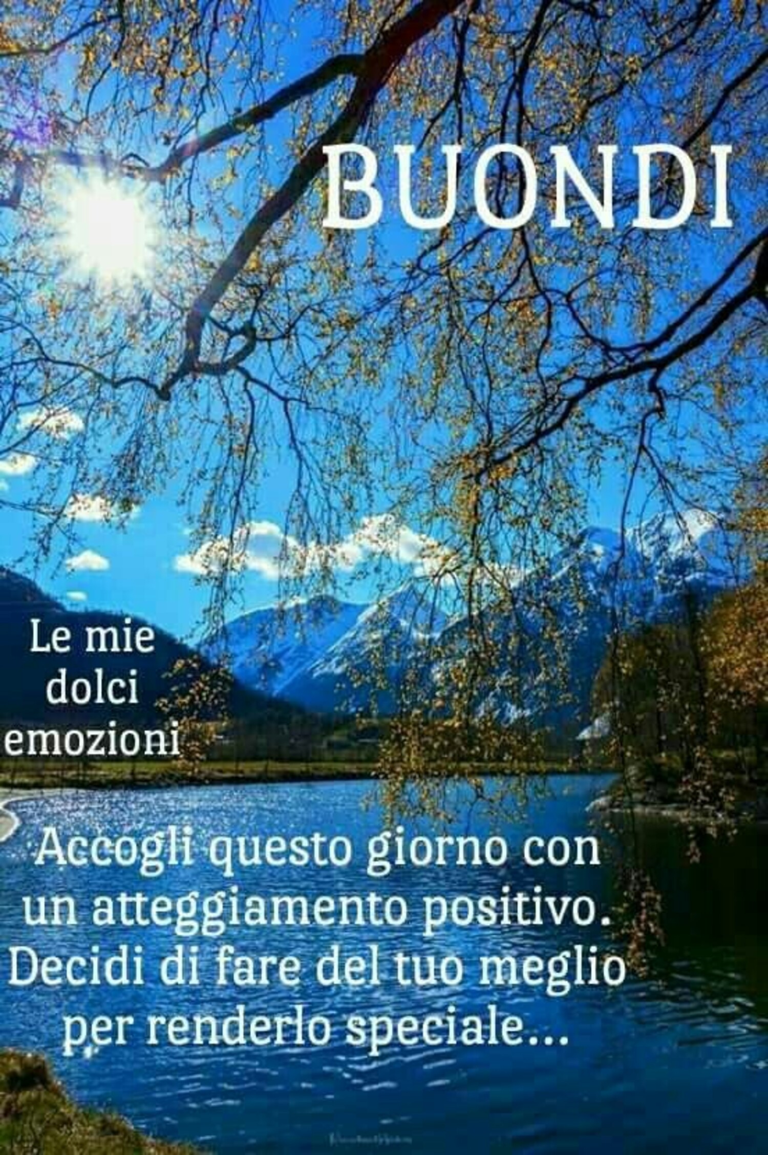 Buondì accogli questo giorno con atteggiamento positivo, decidi di fare il tuo meglio per renderlo speciale.