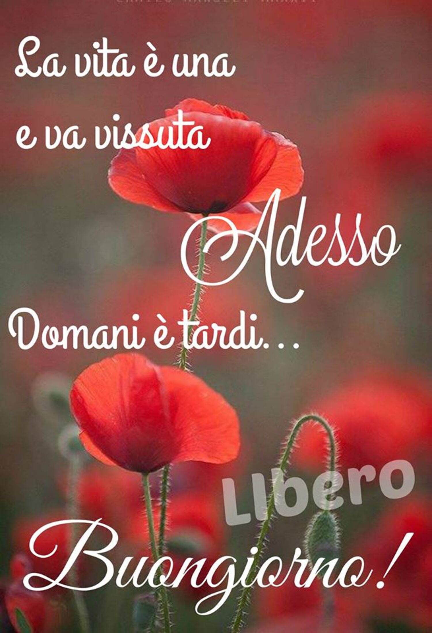 Le frasi più belle del Buongiorno