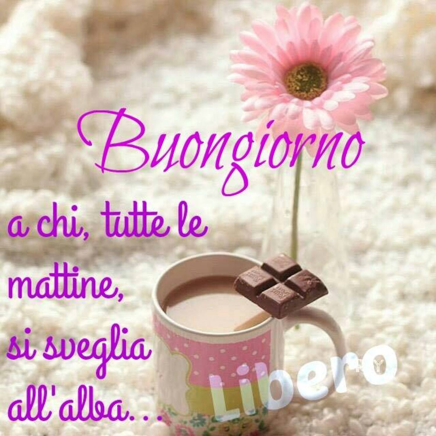 Buongiorno a chi, tutte le mattine, si sveglia all'alba...