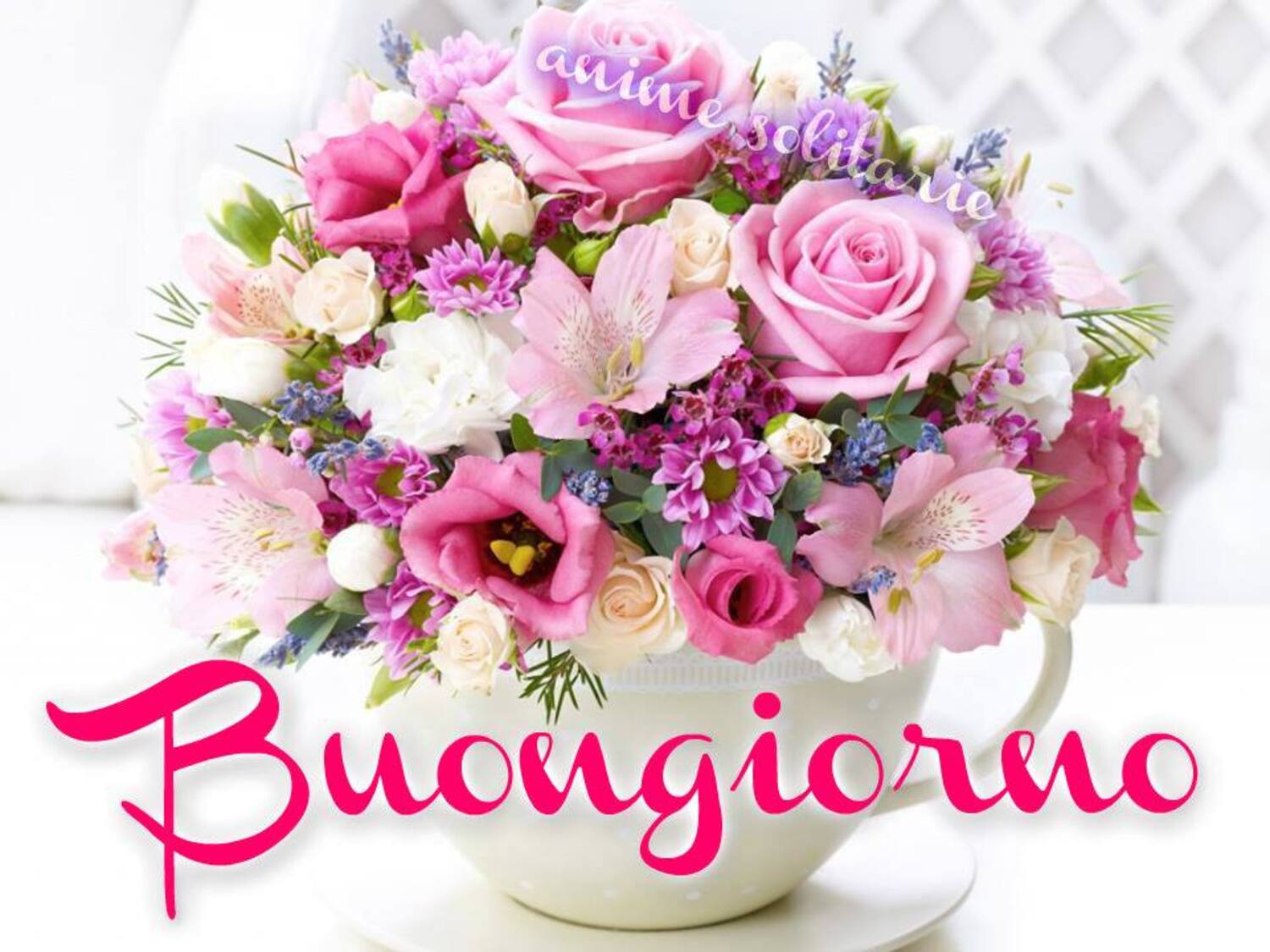 Buongiorno coi fiori