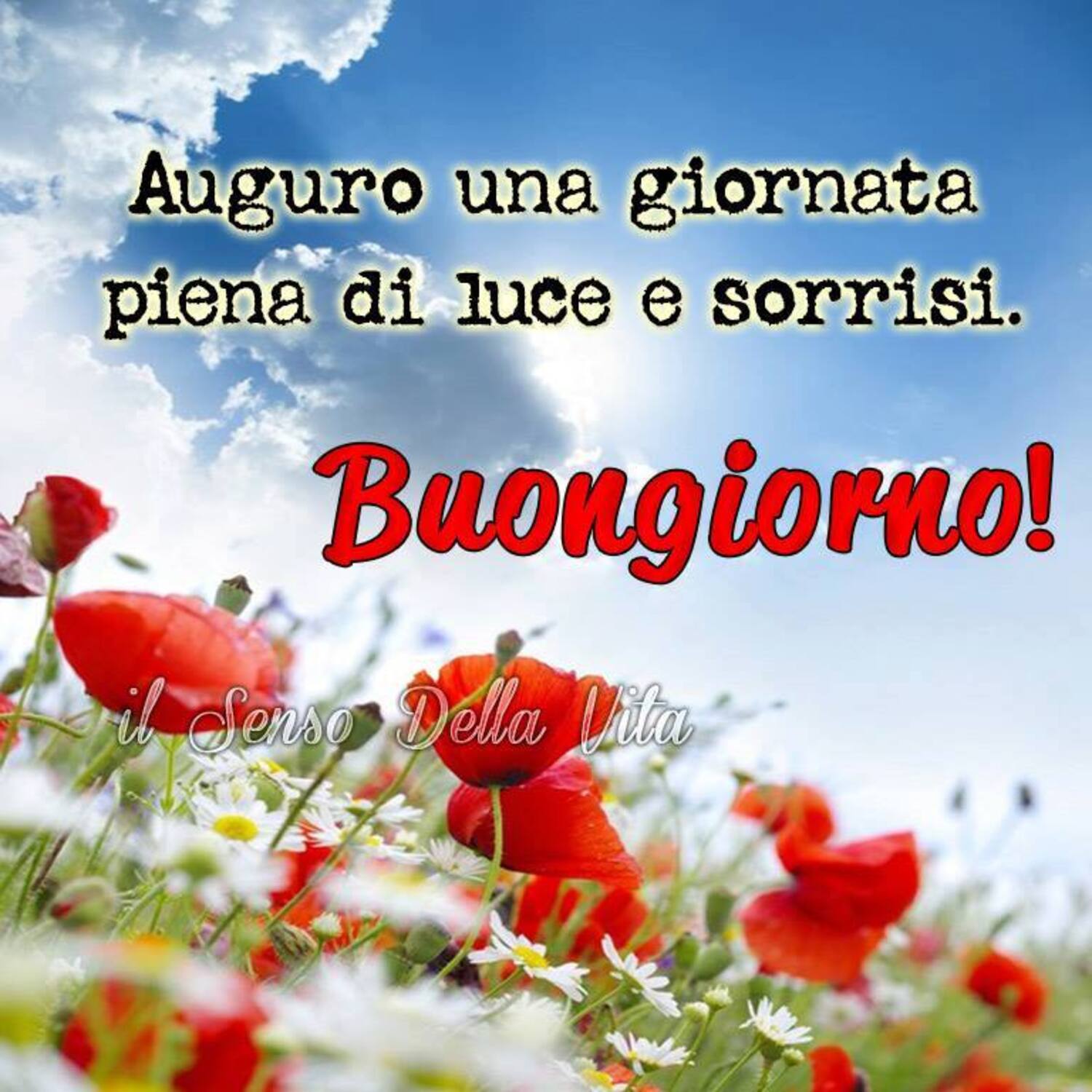 Auguro una giornata piena di luce e sorrisi. Buongiorno!