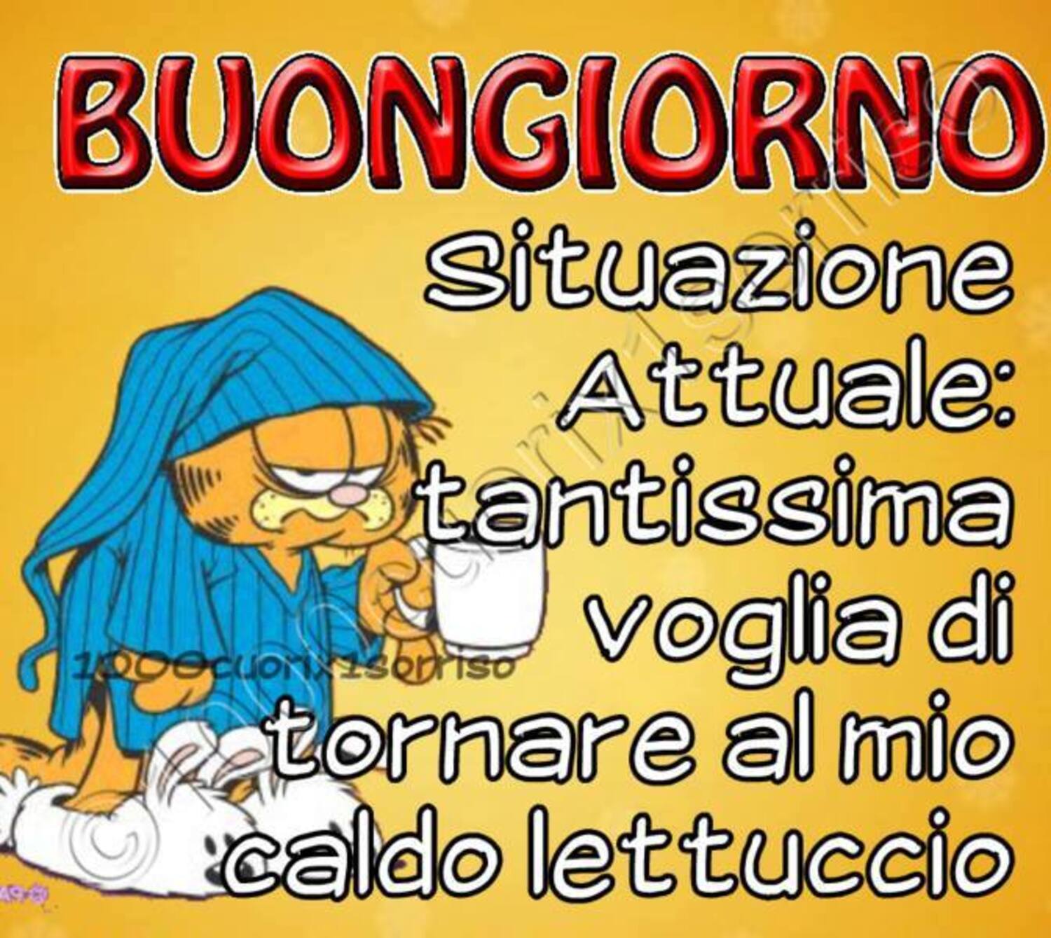 BUONGIORNO Situazione attuale: tantissima voglia di tornare al mio caldo lettuccio. Garfield