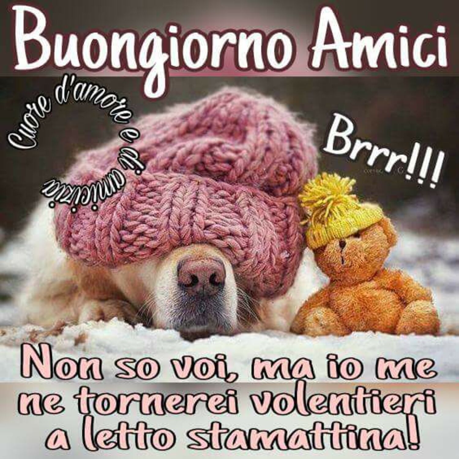 Buongiorno amici, BRR !!! Non so voi ma io me ne tornerei volentieri a letto stamattina!