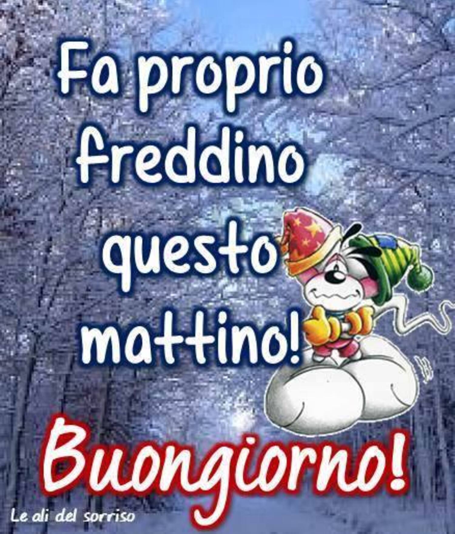 Fa proprio freddino questo mattino! Buongiorno Diddle
