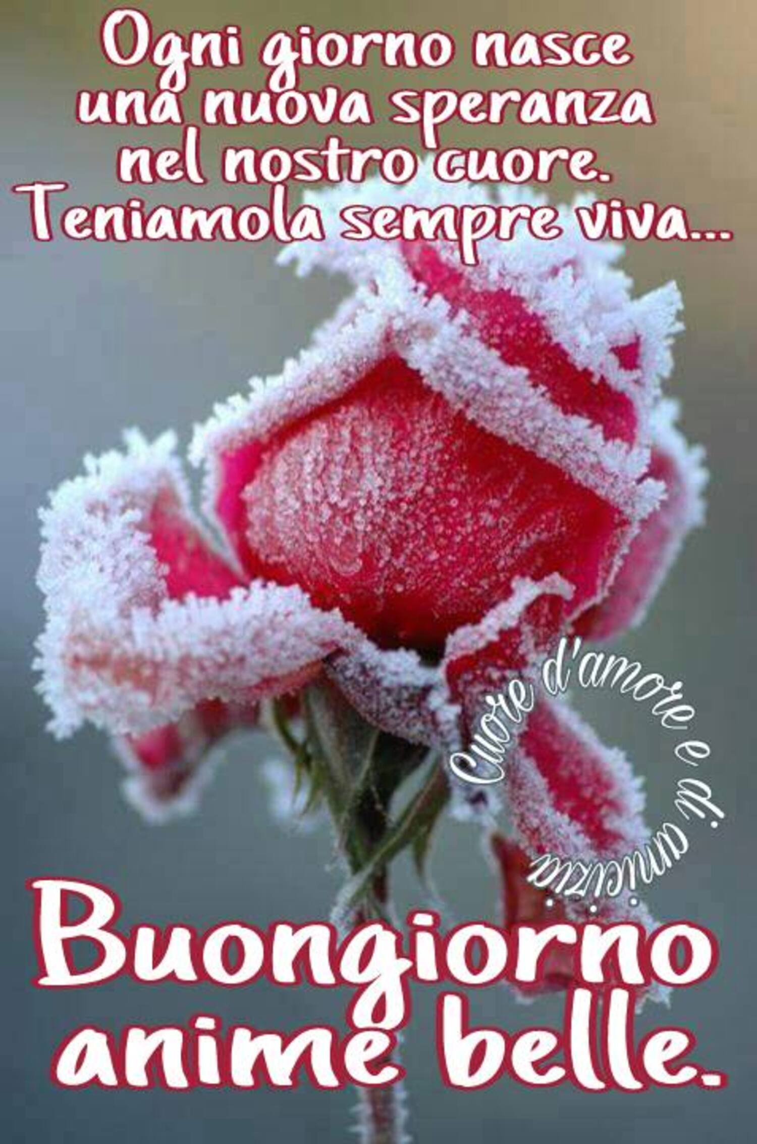 Ogni giorno nasce una nuova speranza nel nostro cuore, teniamola sempre viva. Buongiorno anime belle!