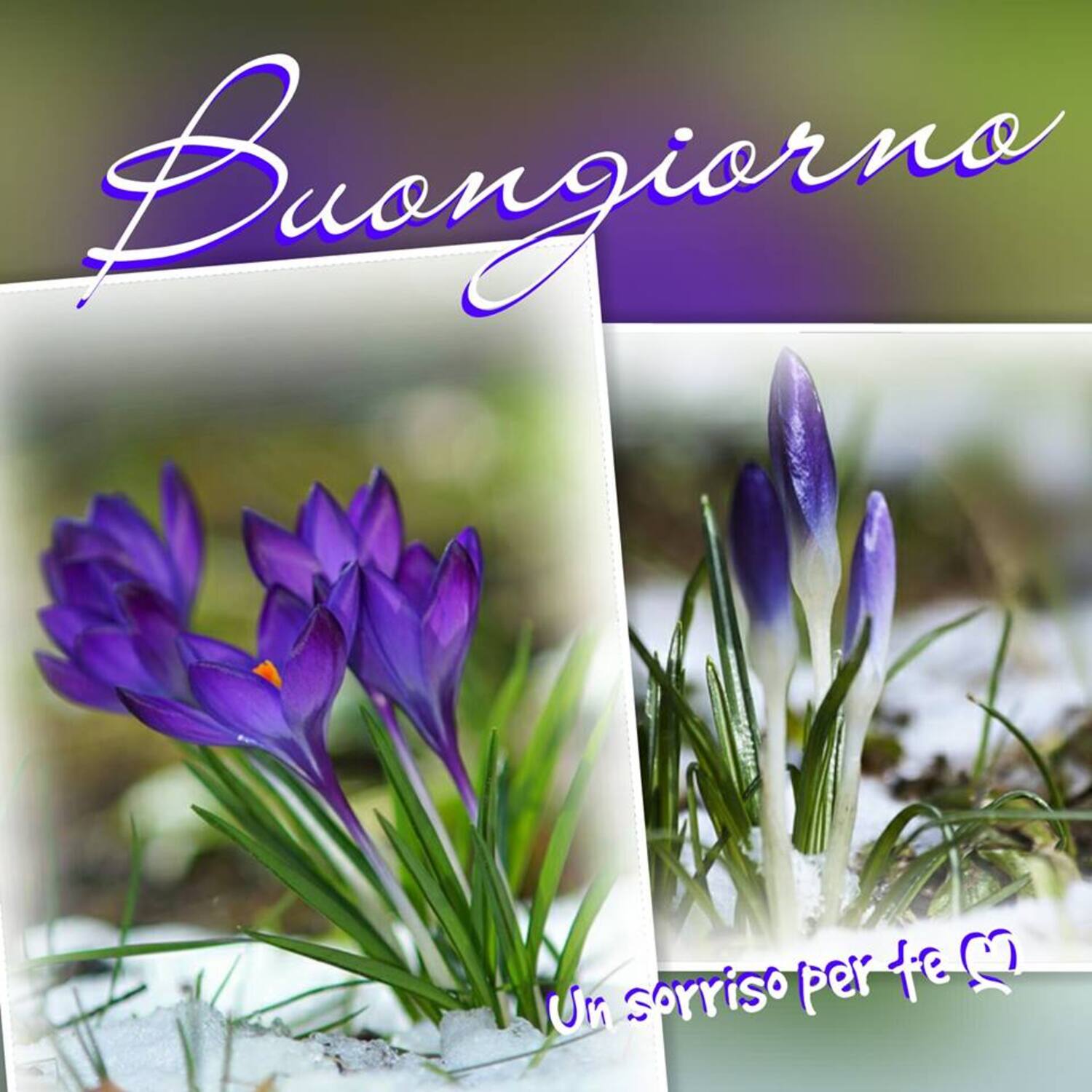 Buongiorno foto coi fiori