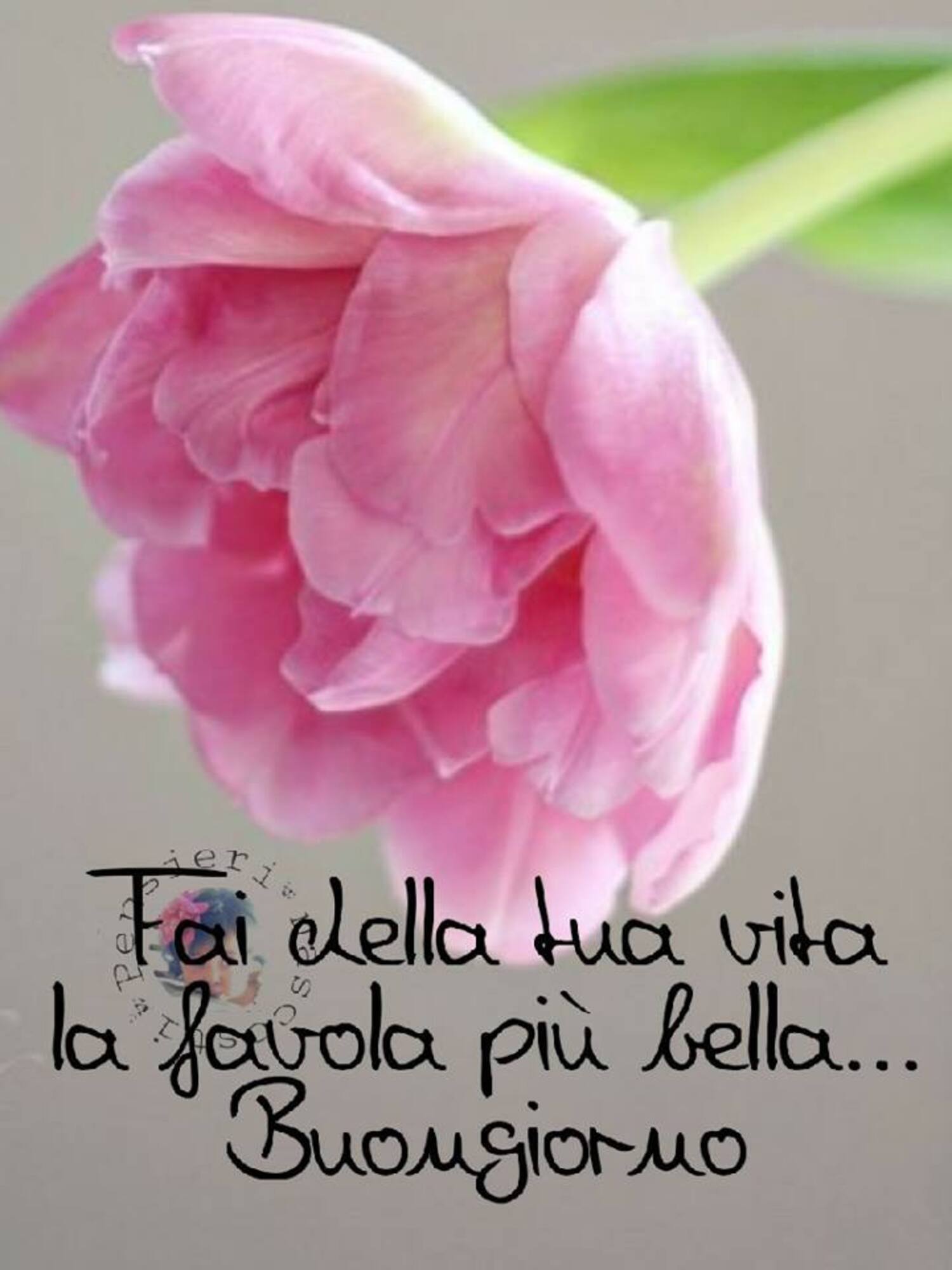 Fai della tua vita la favola più bella... Buongiorno