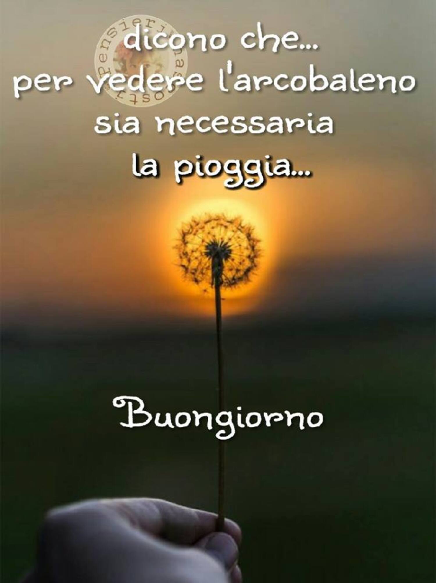 Dicono che per vedere l'arcobaleno sia necessaria la pioggia... Buongiorno