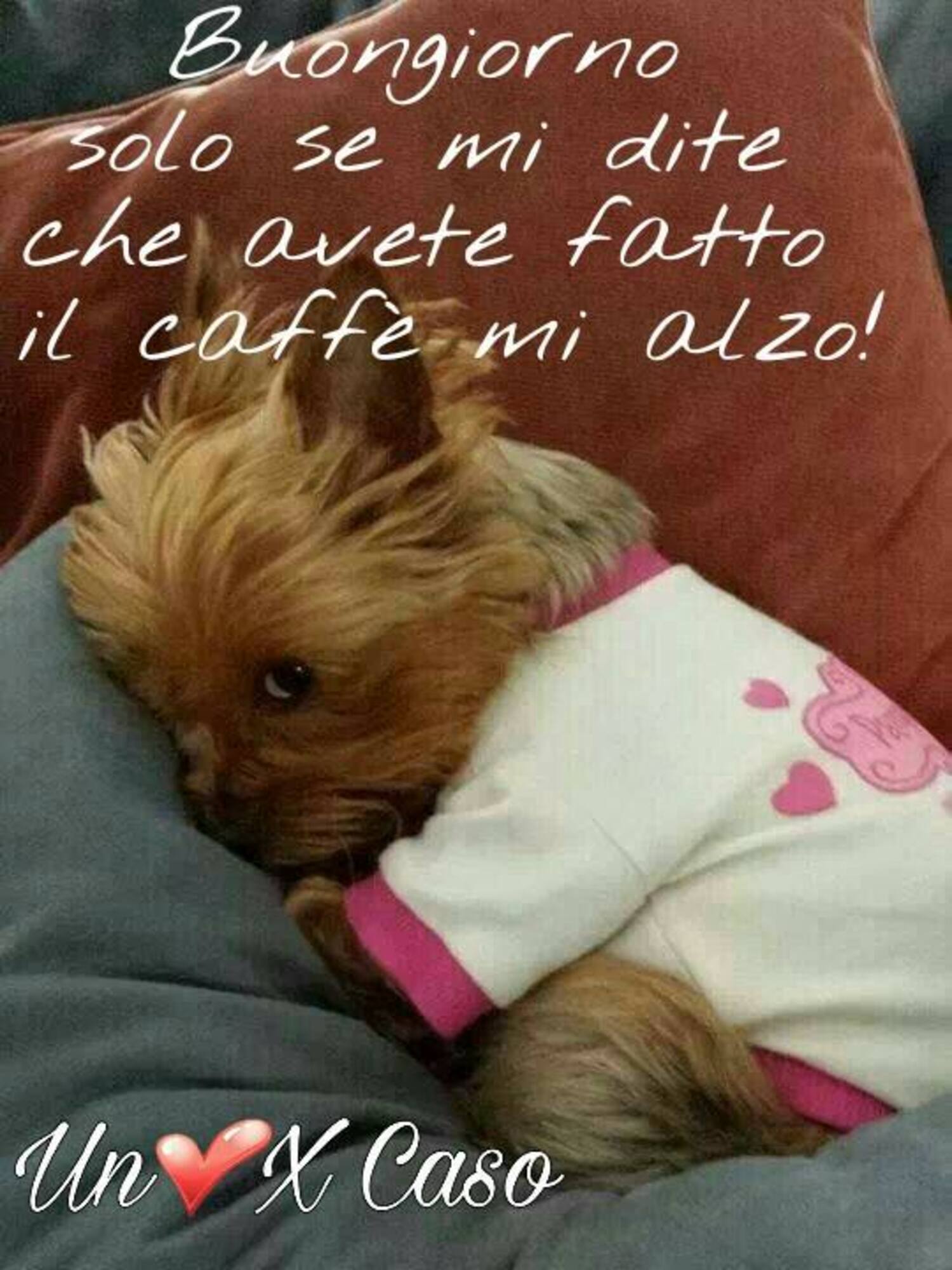 Buongiorno solo se mi dite che avete fatto il caffè mi alzo!