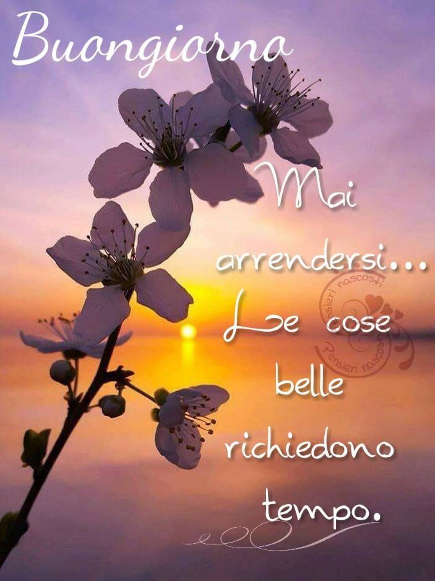 Buongiorno mai arrendersi... le cose belle richiedono tempo.