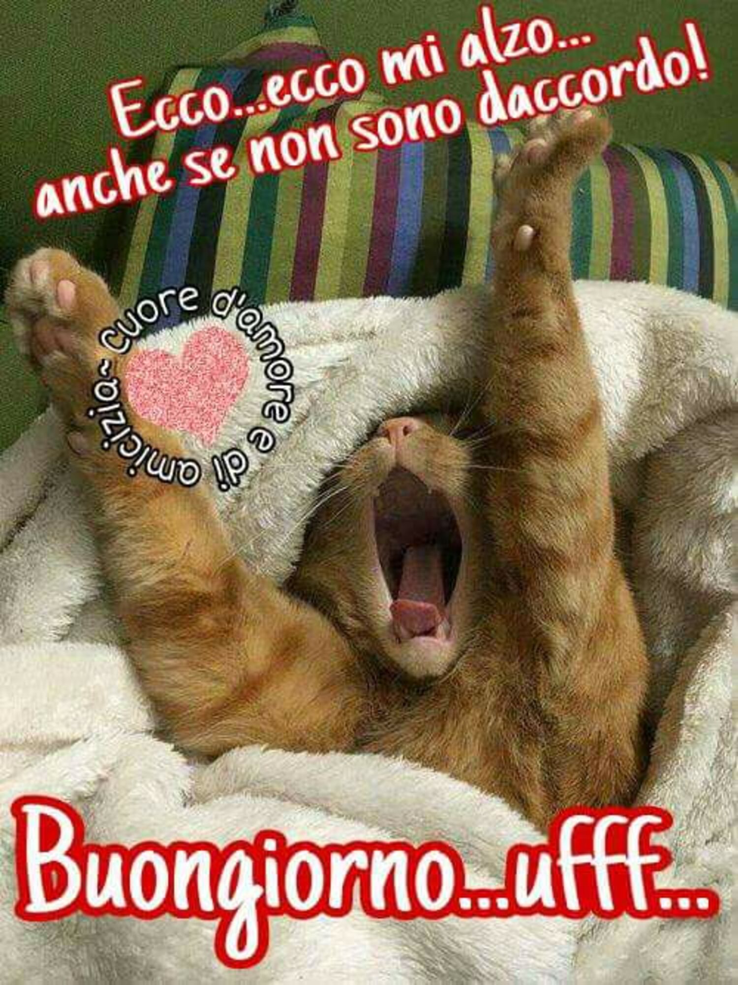 Ecco... ecco... mi alzo... anche se non sono d'accordo! Buongiorno... ufff...