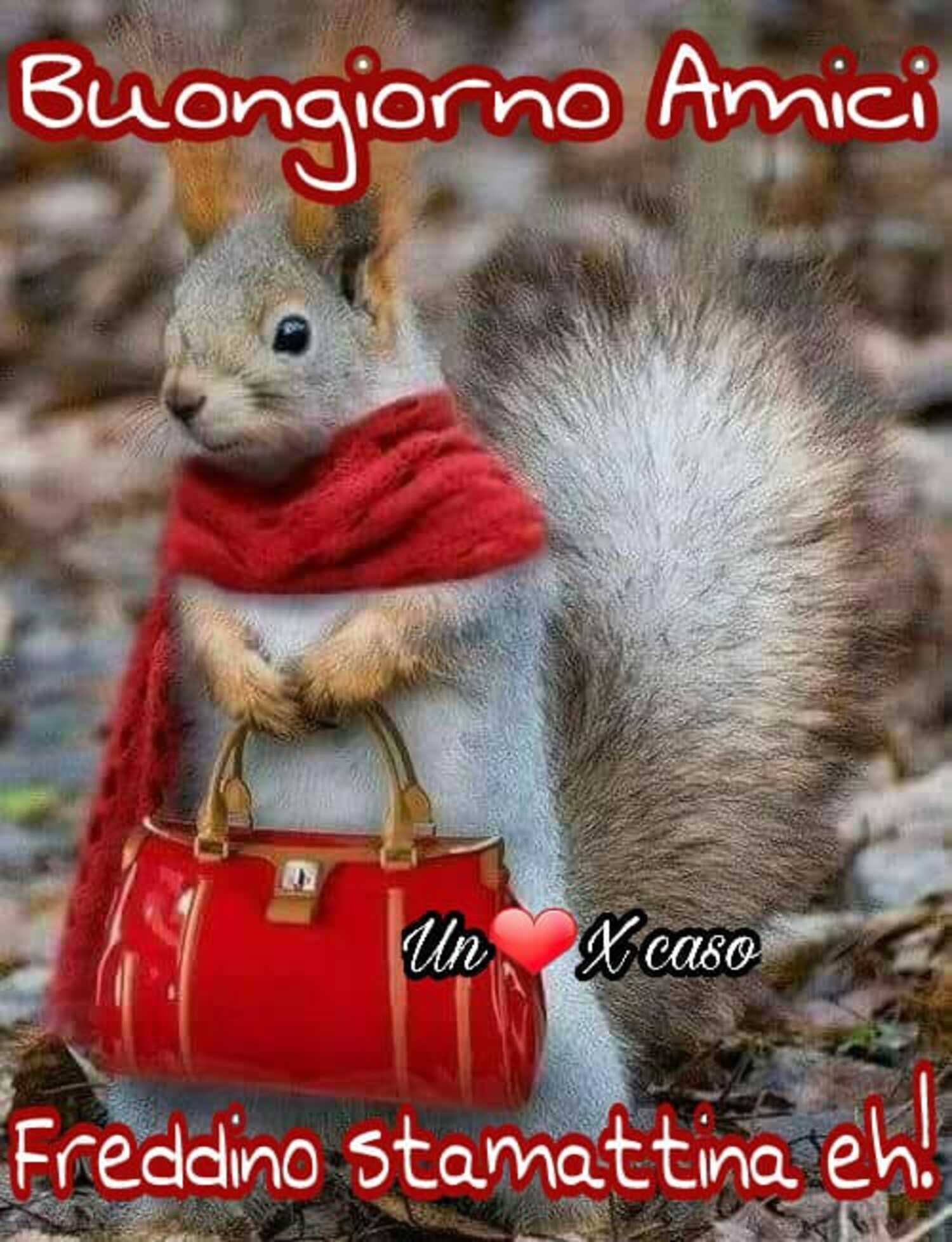 Buongiorno amici... Freddino stamattina eh ?