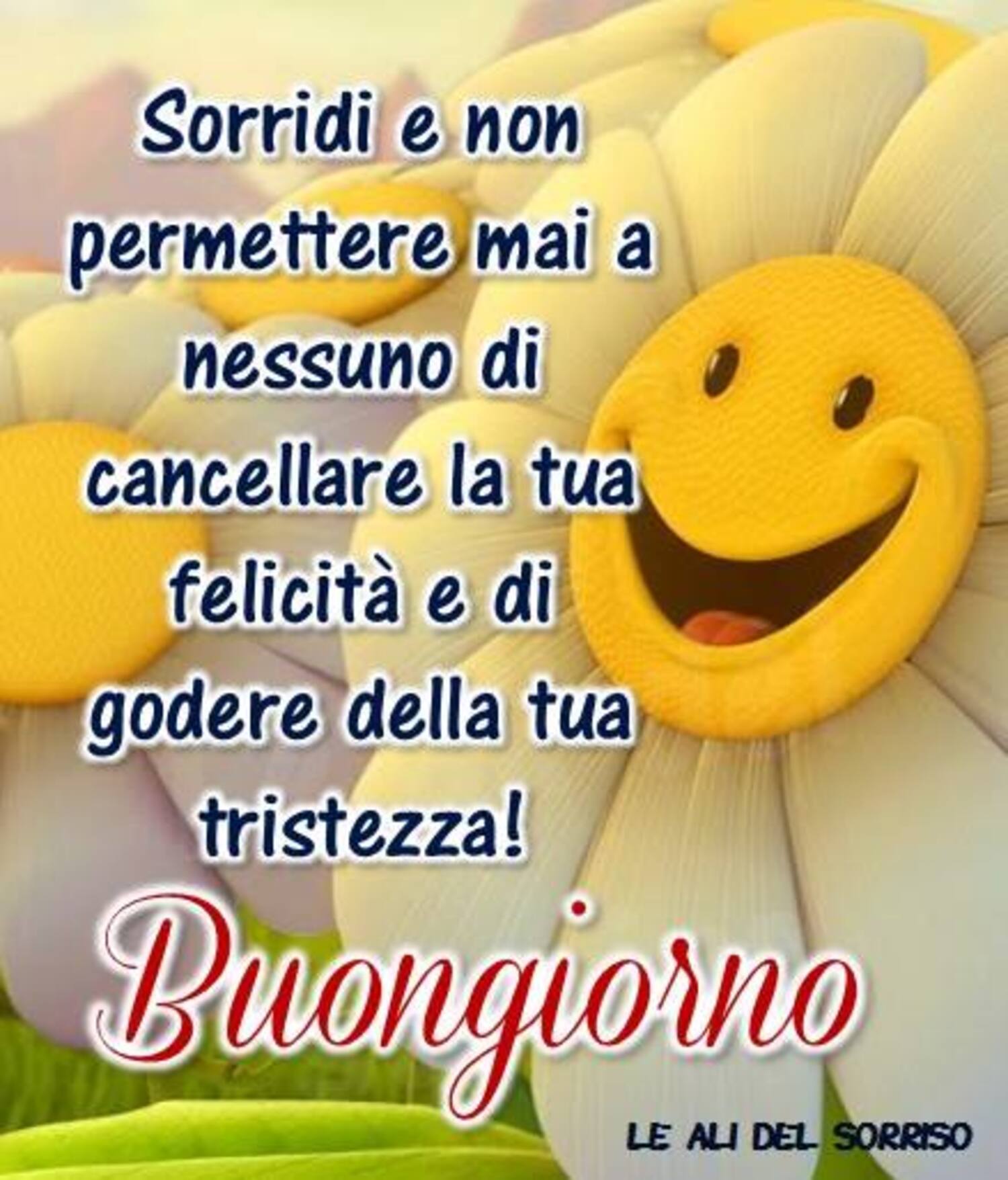 Sorridi e non permettere mai a nessuno di cancellare la tua felicità e di godere della tua tristezza! Buongiorno