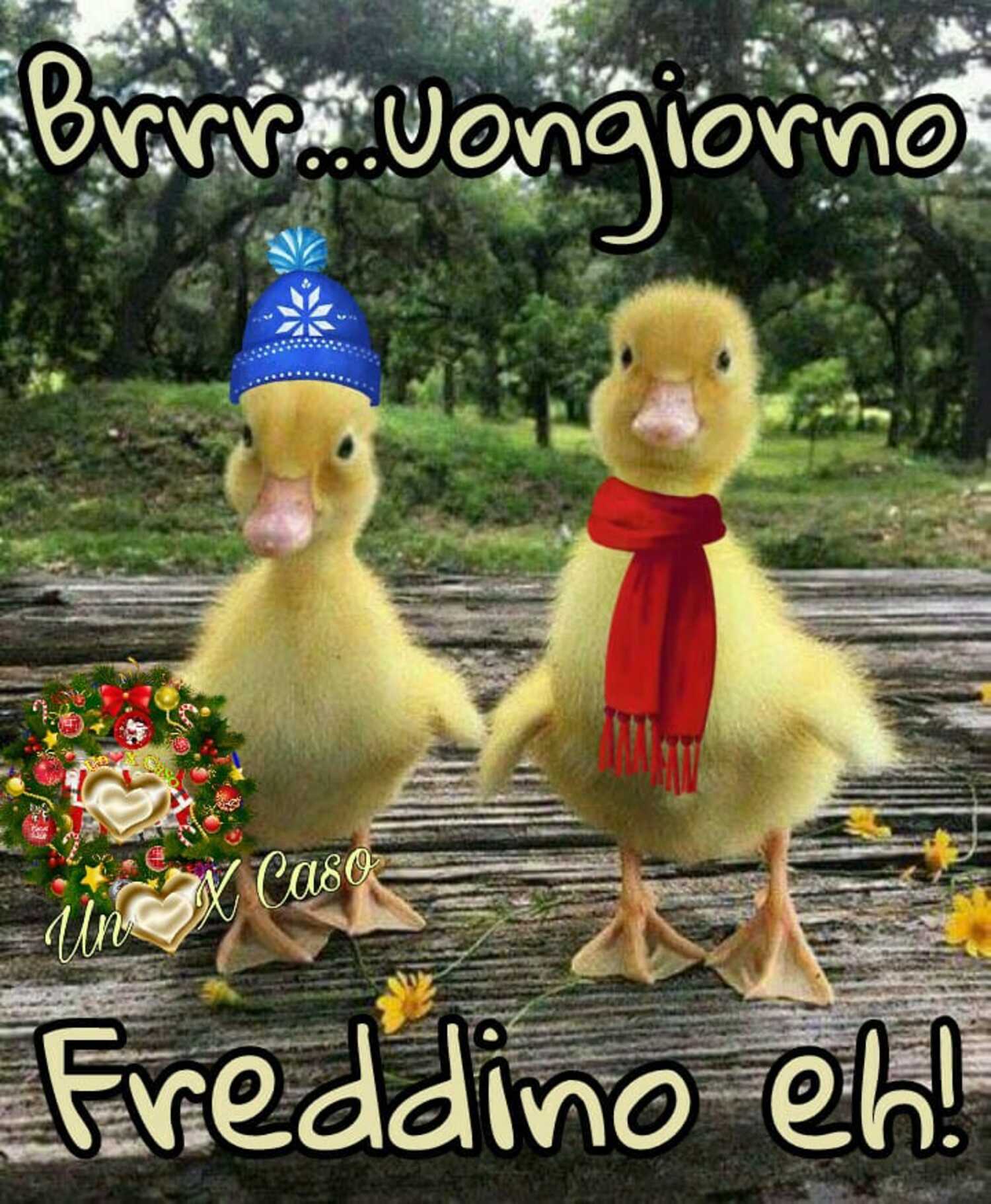 Brr... uongiorno freddino eh?!