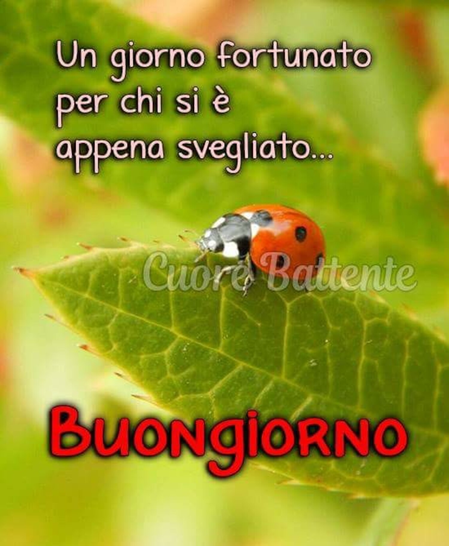 Un giorno fortunato per chi si è appena svegliato... Buongiorno