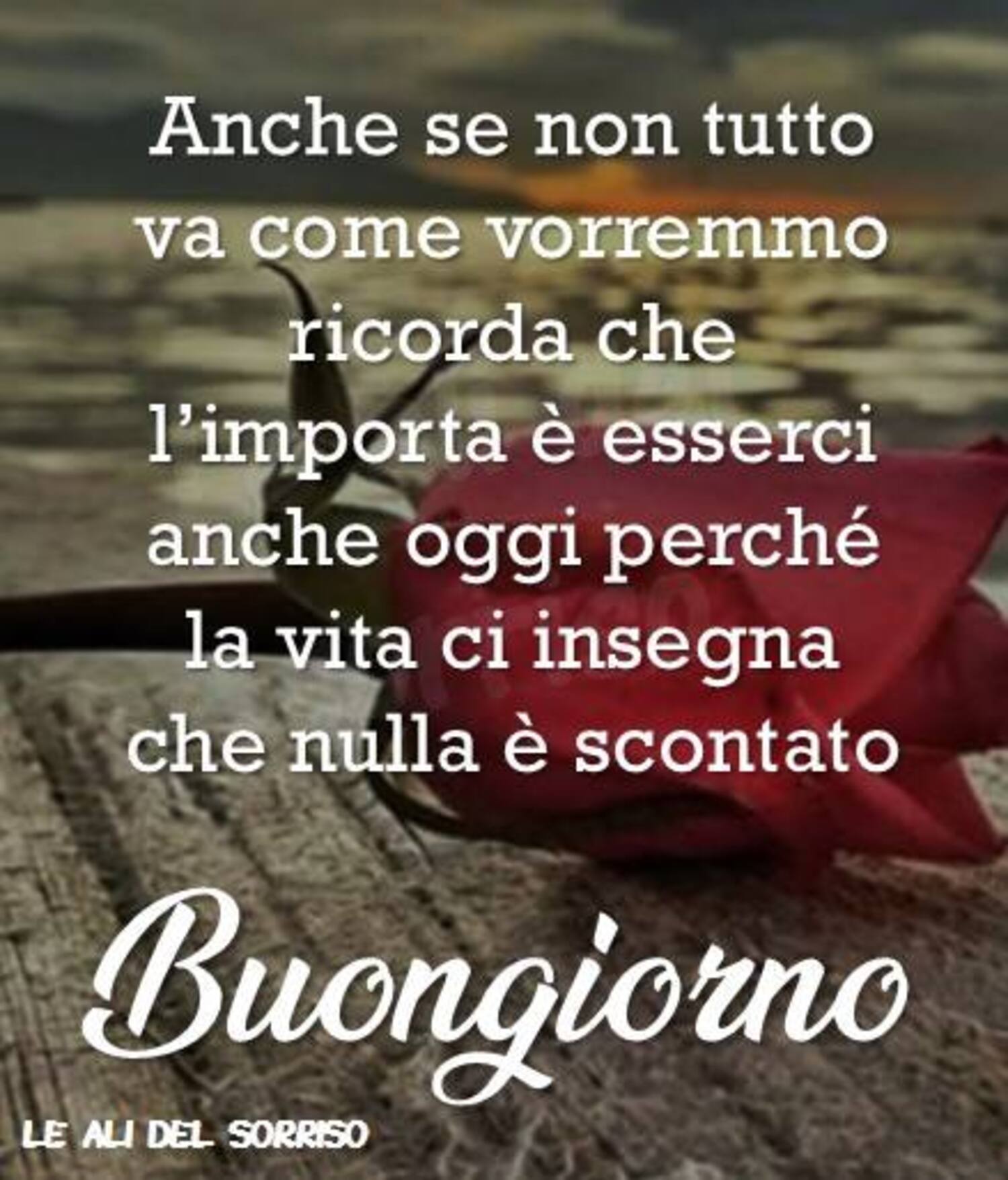 Anche se non tutto va come vorremmo, ricorda che l'importante è esserci anche oggi perchè la vita ci insegna che nulla è scontato. Buongiorno