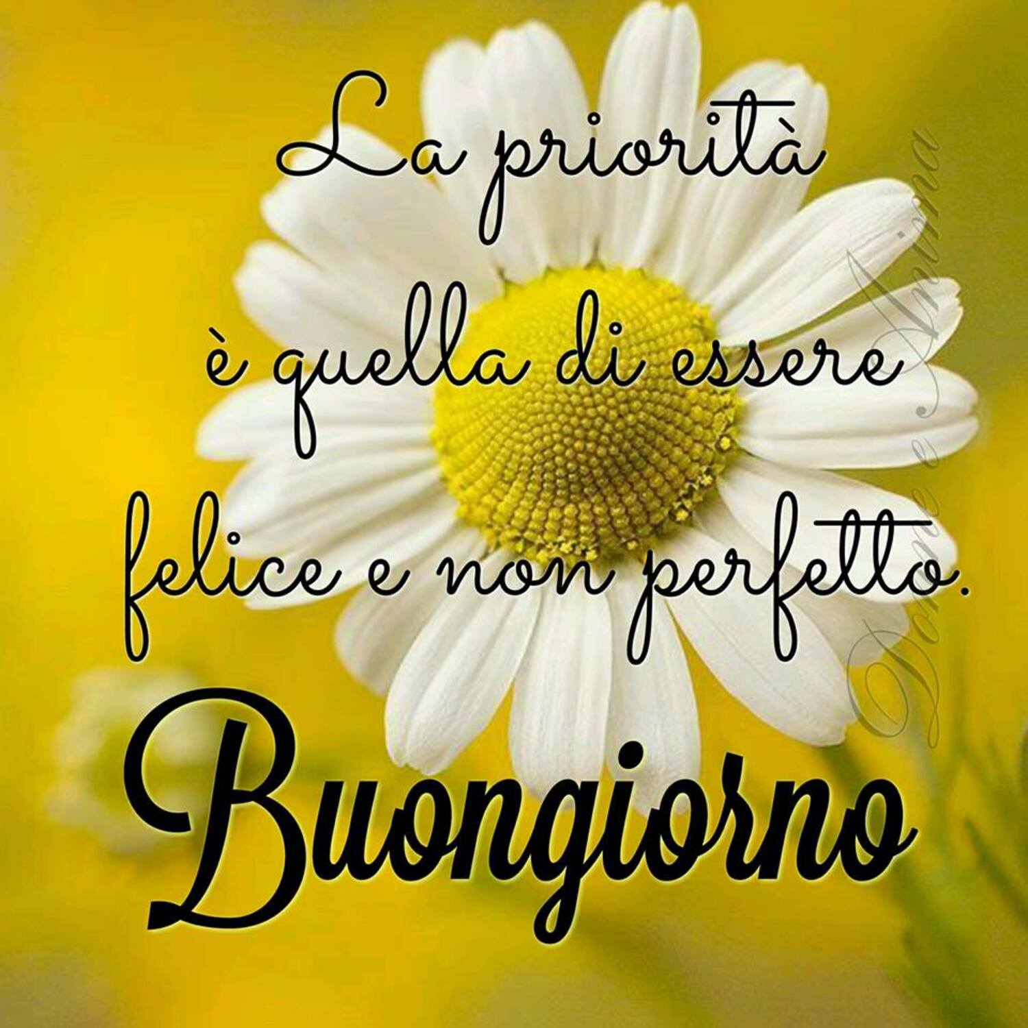 La priorità è quella di essere felice e non perfetto. Buongiorno