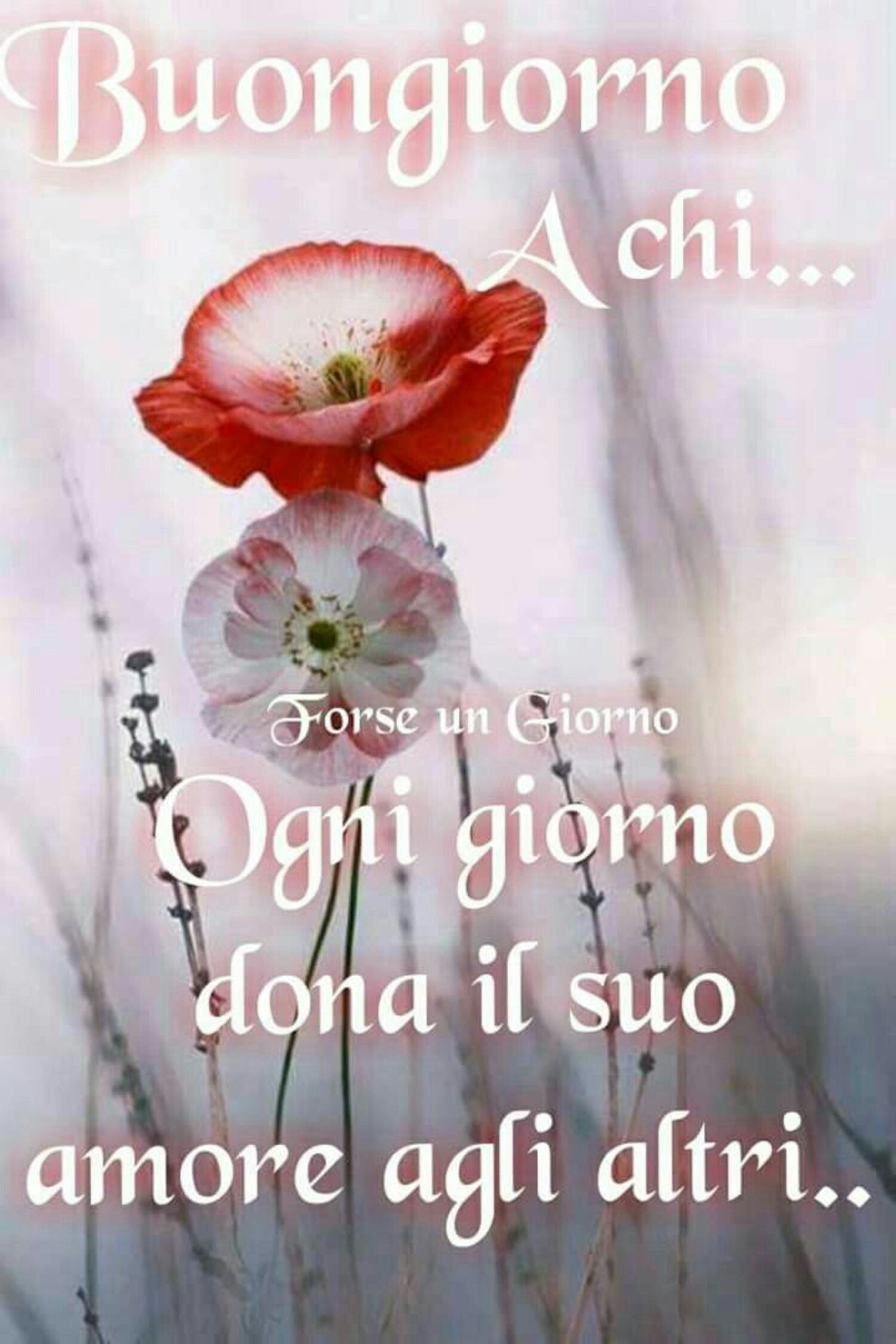 Buongiorno a chi... ogni giorno dona il suo amore agli altri...