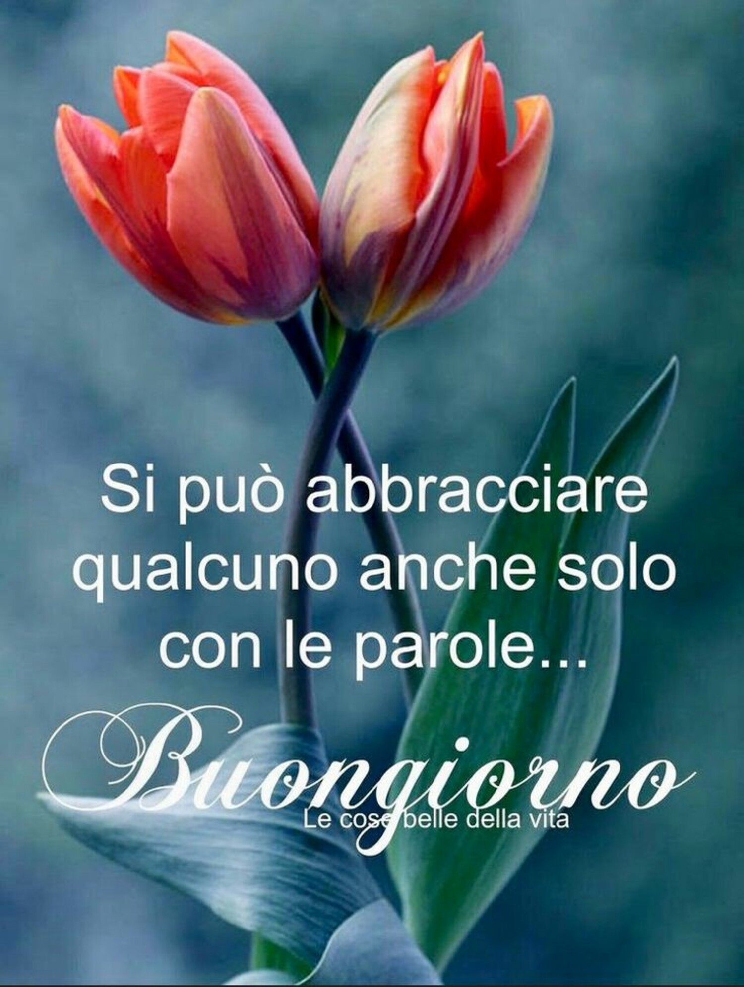 Si può abbracciare qualcuno anche solo con le parole... Buongiorno