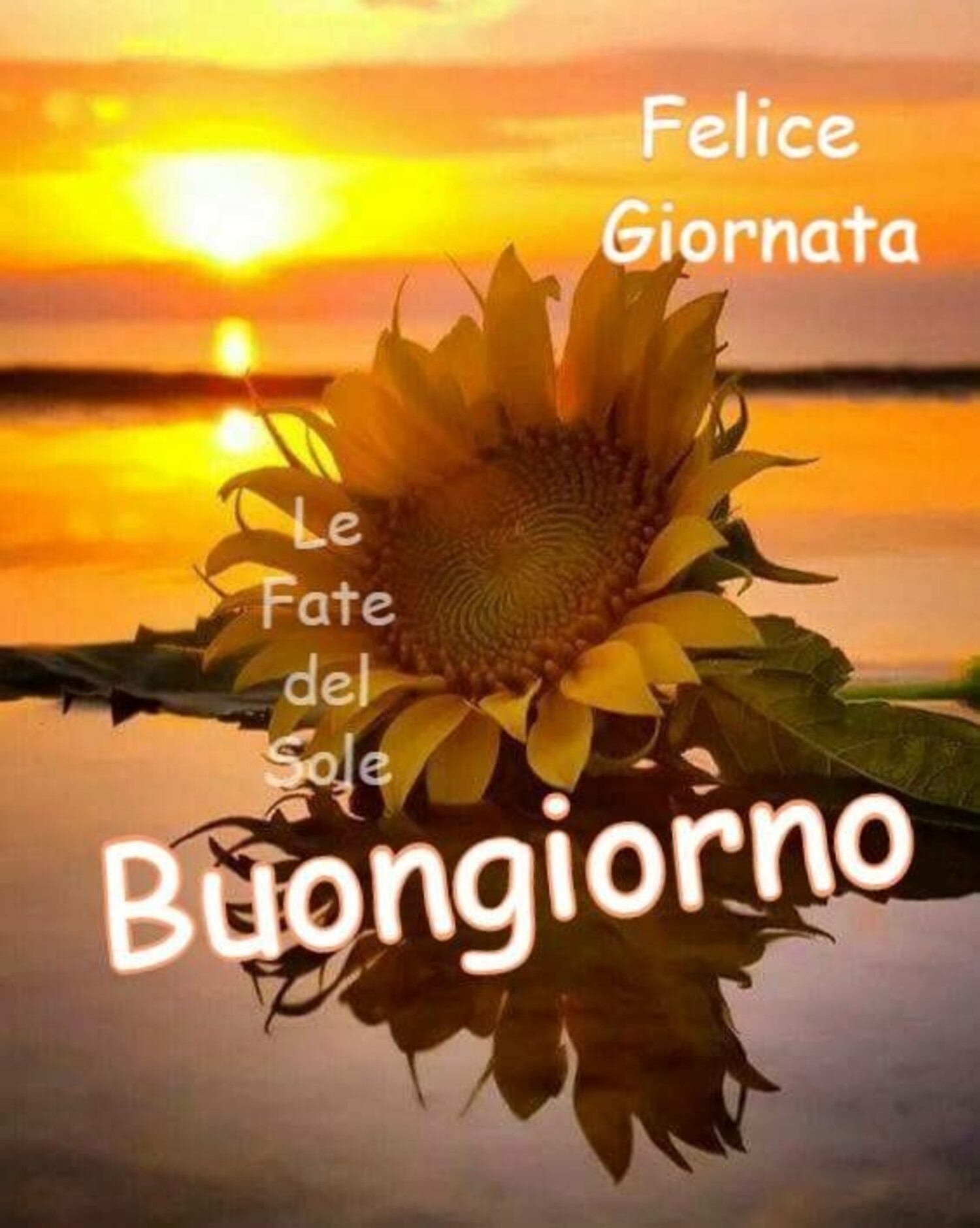 Felice Giornata Buongiorno