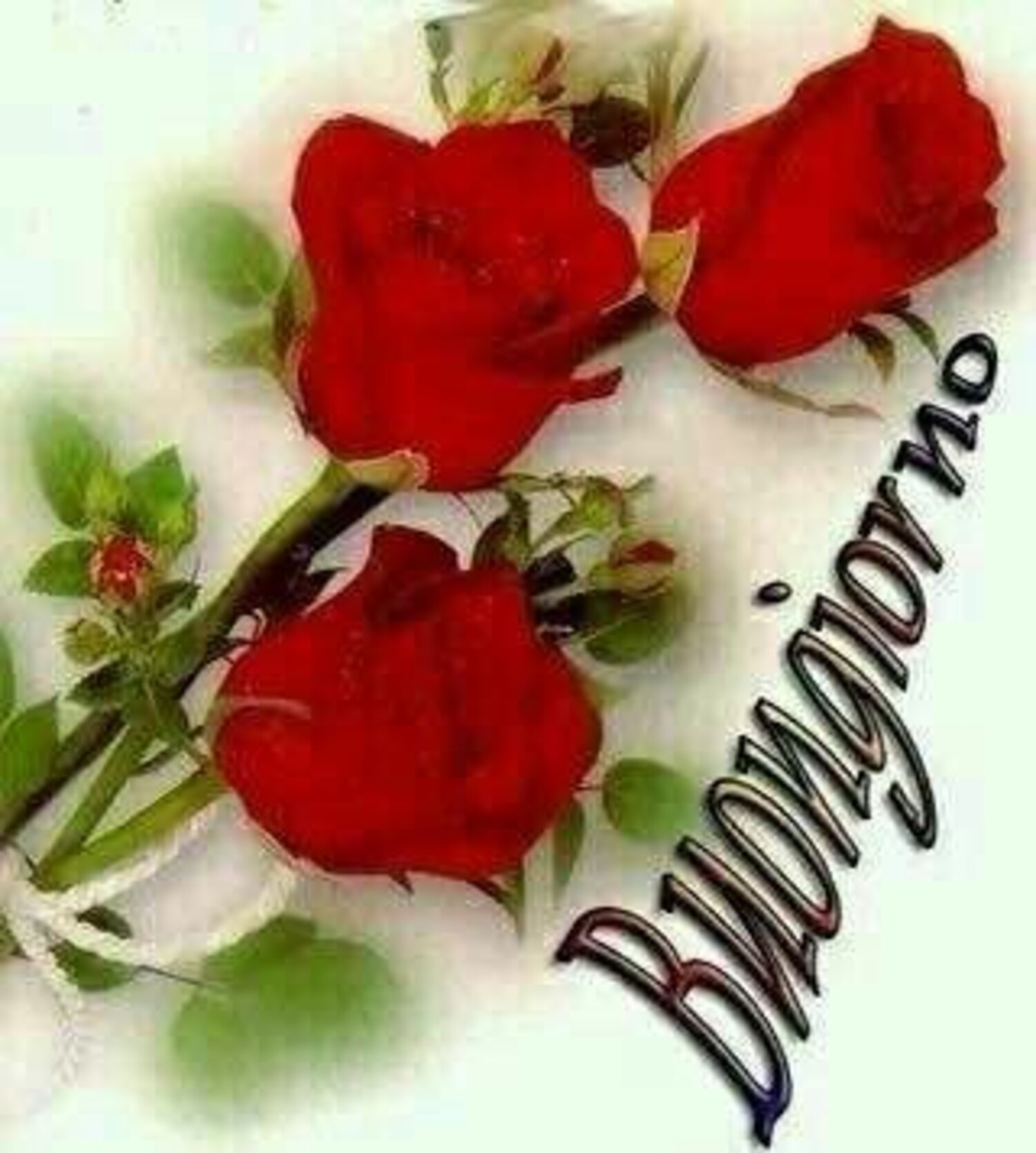 Amore Buongiorno